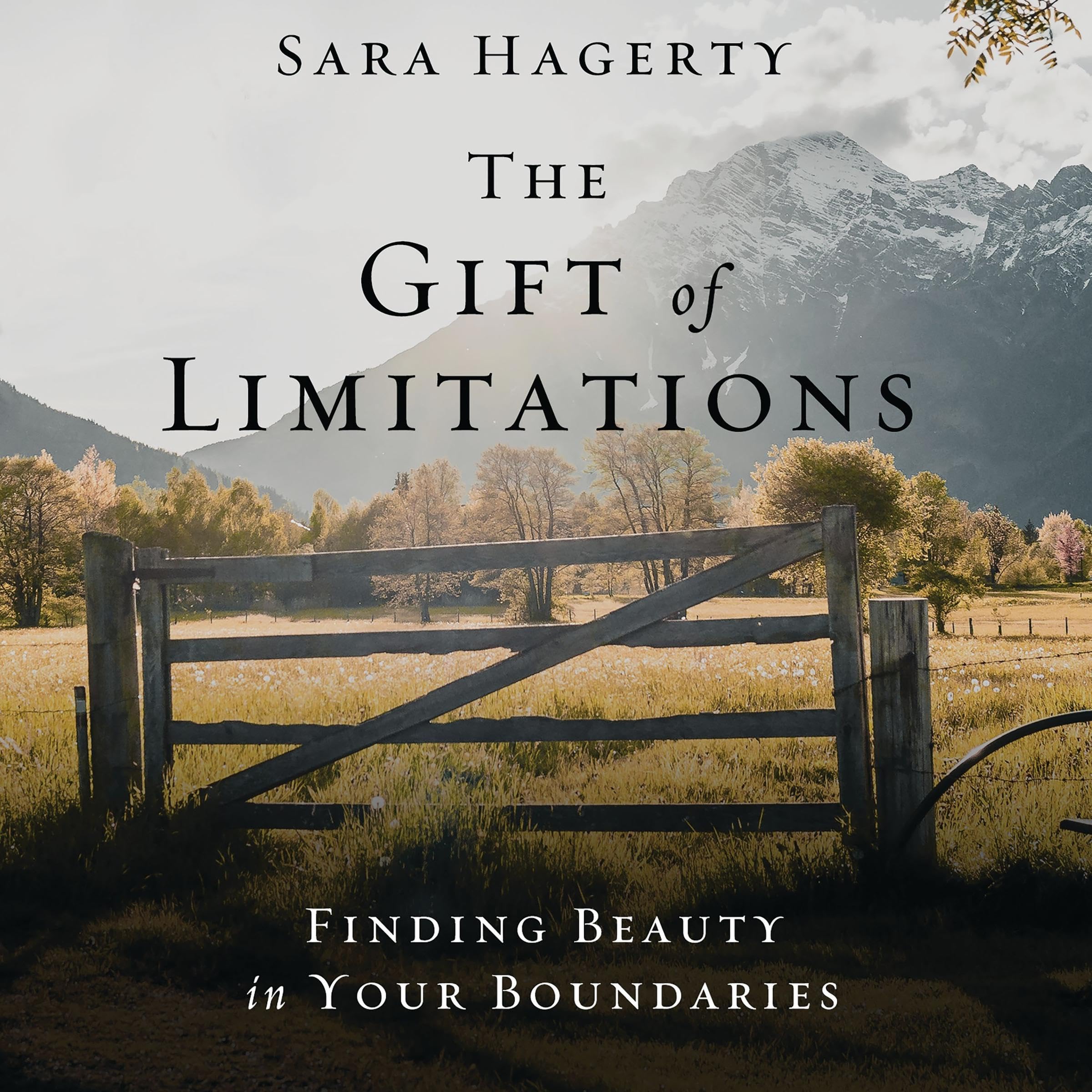 Cover art for The Gift of Limitations