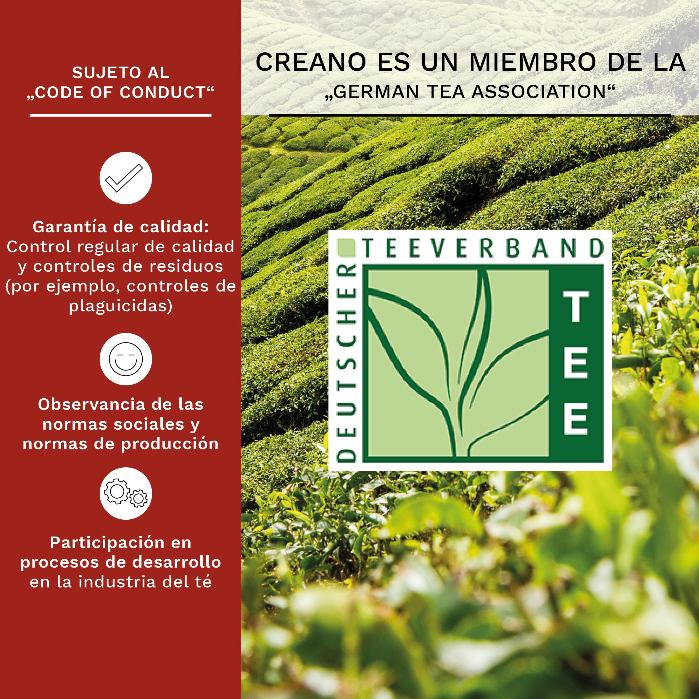 Creano Flores de Té Blanco 6 uds – Cofre de Madera con Tetera de Vidrio 500ml Antigoteo – Set de Lujo para Regalo – Té en Flor Hecho a Mano