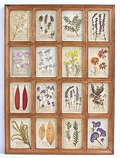 Pressed Botanical in Herbarium Farmhouse – Dried Flower Decor Vertical Distressed Wall Hanging Art Rustic French Style, 29.3 x 21.5 inches