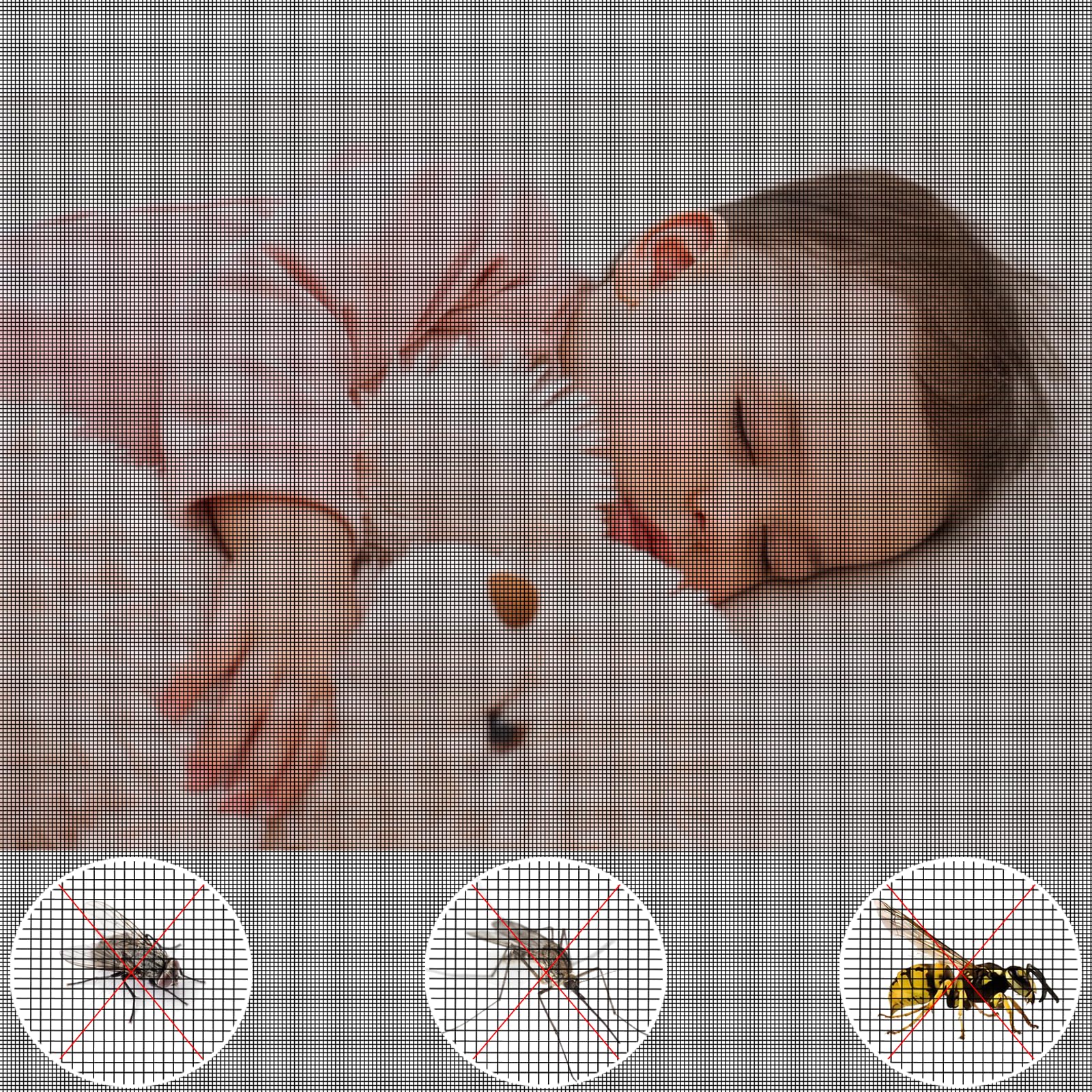 Insektenschutz Fenster 120x2000cm Insektenschutz Plus DIY Meterware Uv-Beständig Insektenschutzgitter Meterware für Fenster, Balkontür Fenster Schwarz