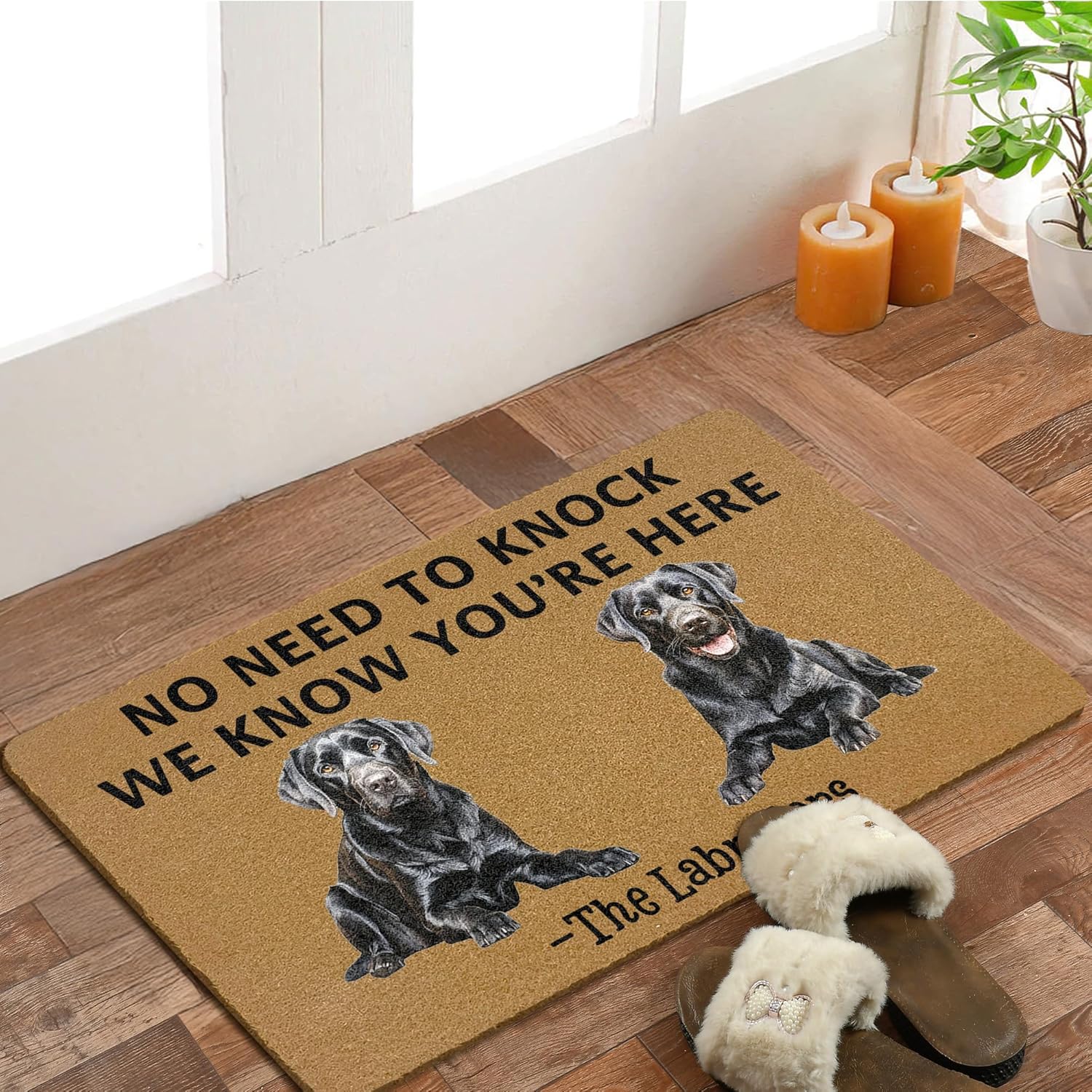 Black Labrador Retriever Dog Coir Door Mats Outdoor, Black Lab Gifts Front Door Mat Outside Entrance, Funny Dog Doormat Outdoor Indoor Entrance for Home Entryway Decor, 17x30in