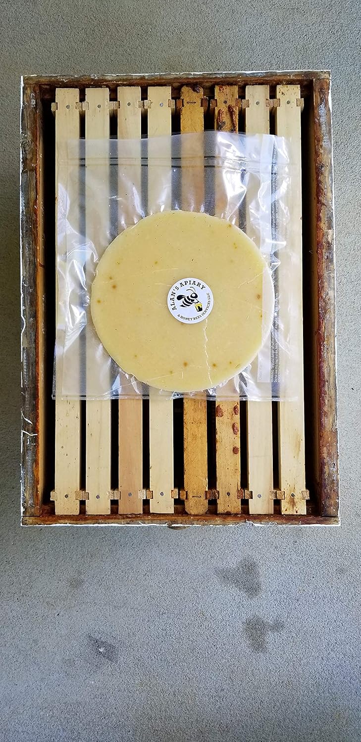 Alan's Honey Bee Fondant-Honey Bee Fondant-honey bees winter food-Honey bee Candy-10 LBS