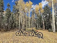 Review Image by Amazon Customer Amazon Customer