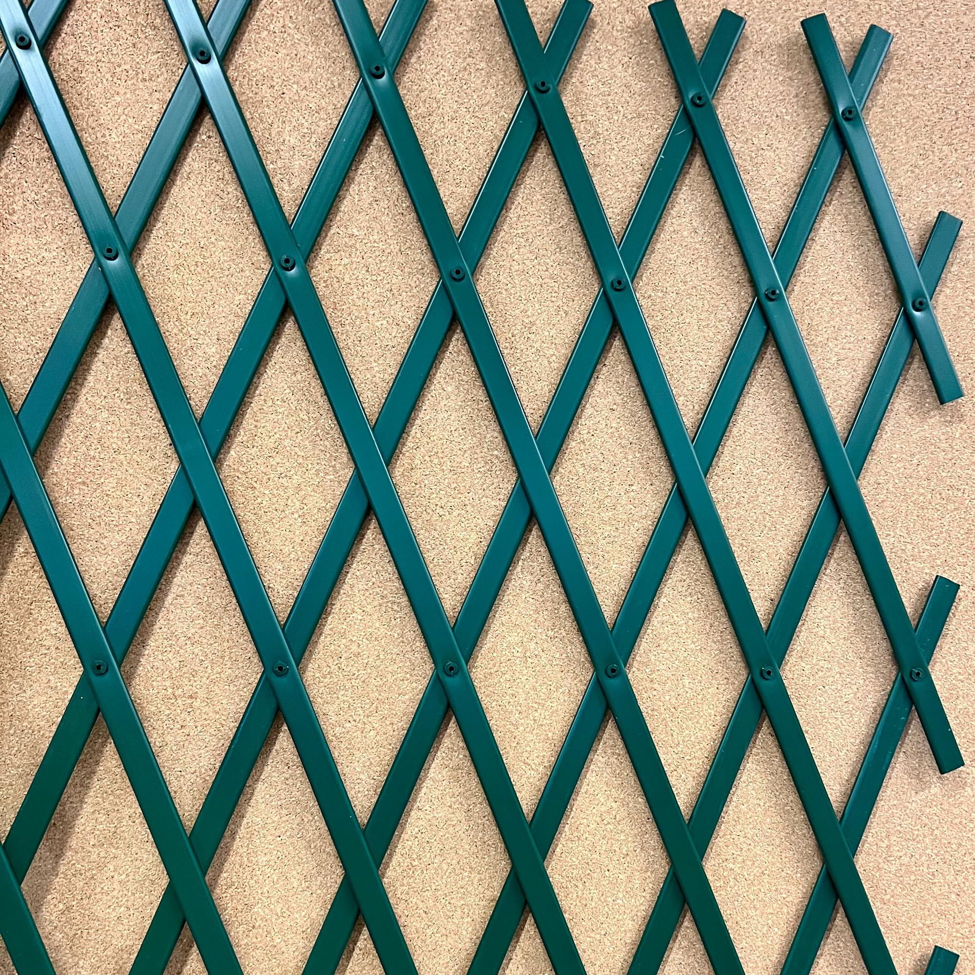 TENAX Treplas 100x300 cm, Verde, Traliccio Estensibile in PVC per Sostegno a Muro di Fiori e Piante Rampicanti