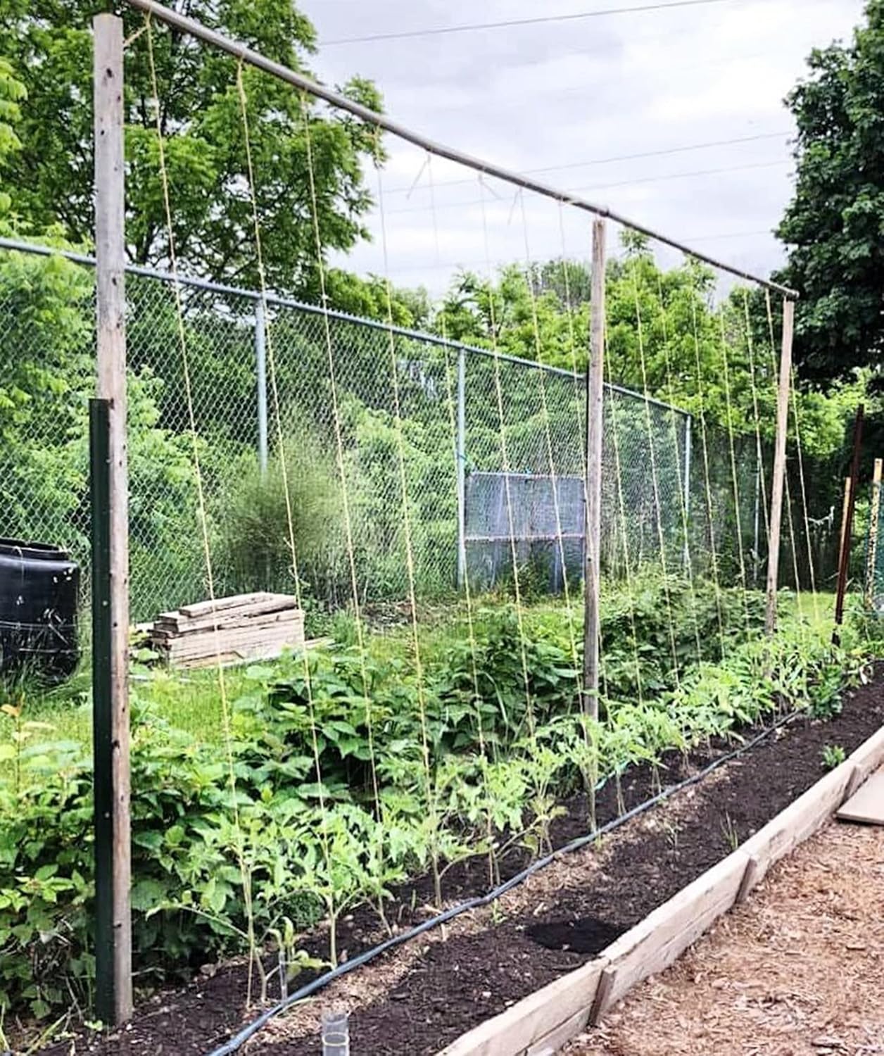 IRRIGATION-MART 6300FT Tomato Tying Garden Twine Standard