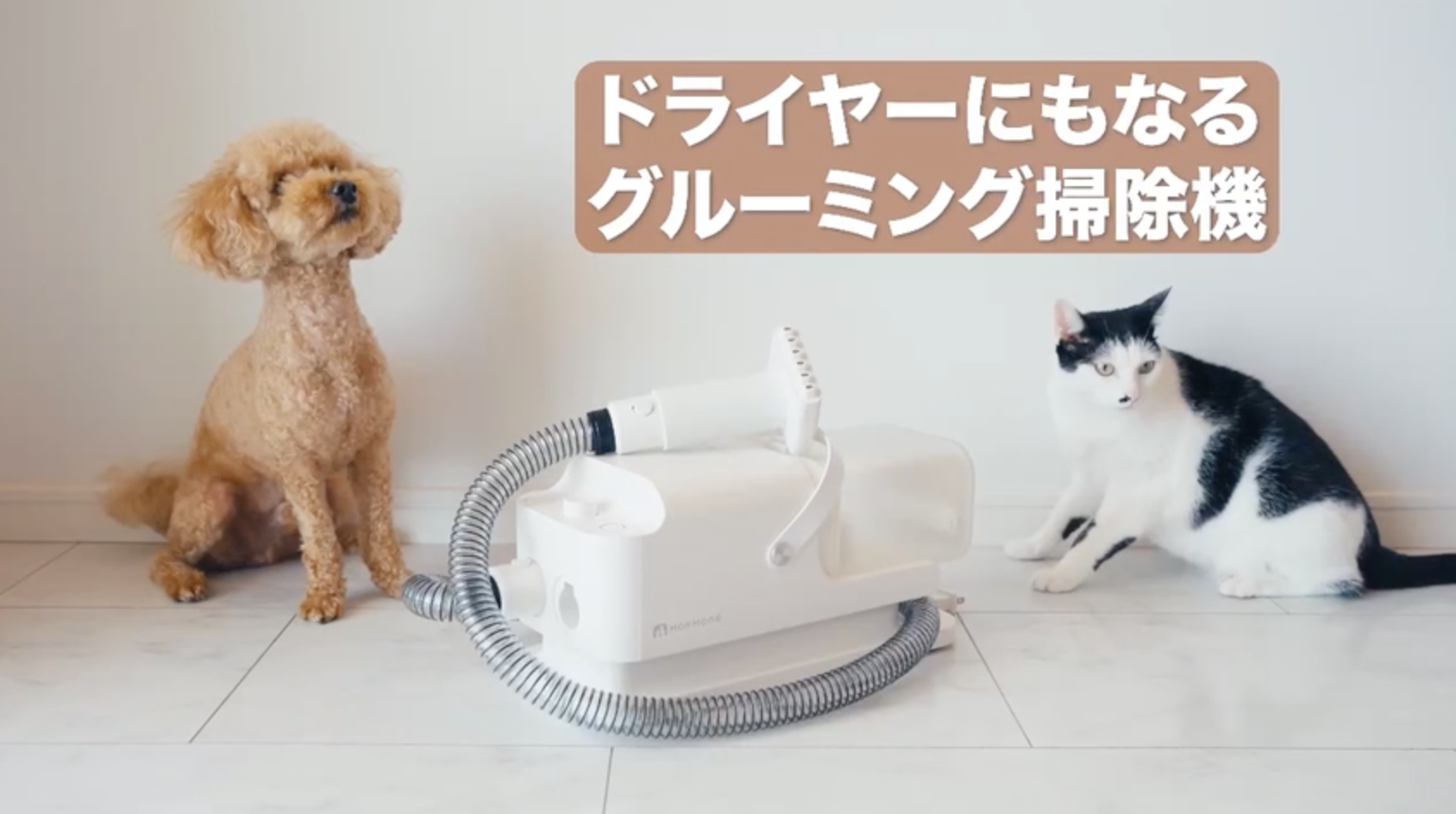 MOFMORE トリムドライ グルーミングキット　犬猫ペットドライヤー　掃除機 Amazon.co.jp: MOFMORE トリムドライ 【ドライヤー付き】 グルーミング
