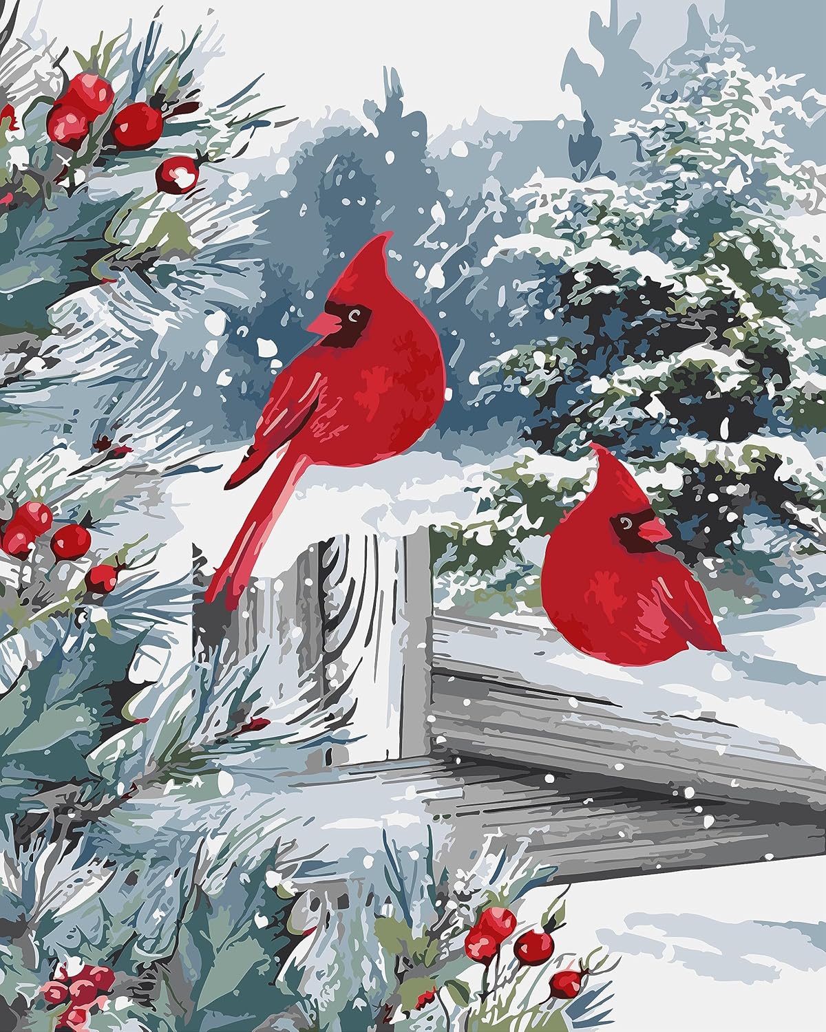 Vulletmioly Christmas Paint by Numbers for Adults Kids, Cardinals Paint by Numbers