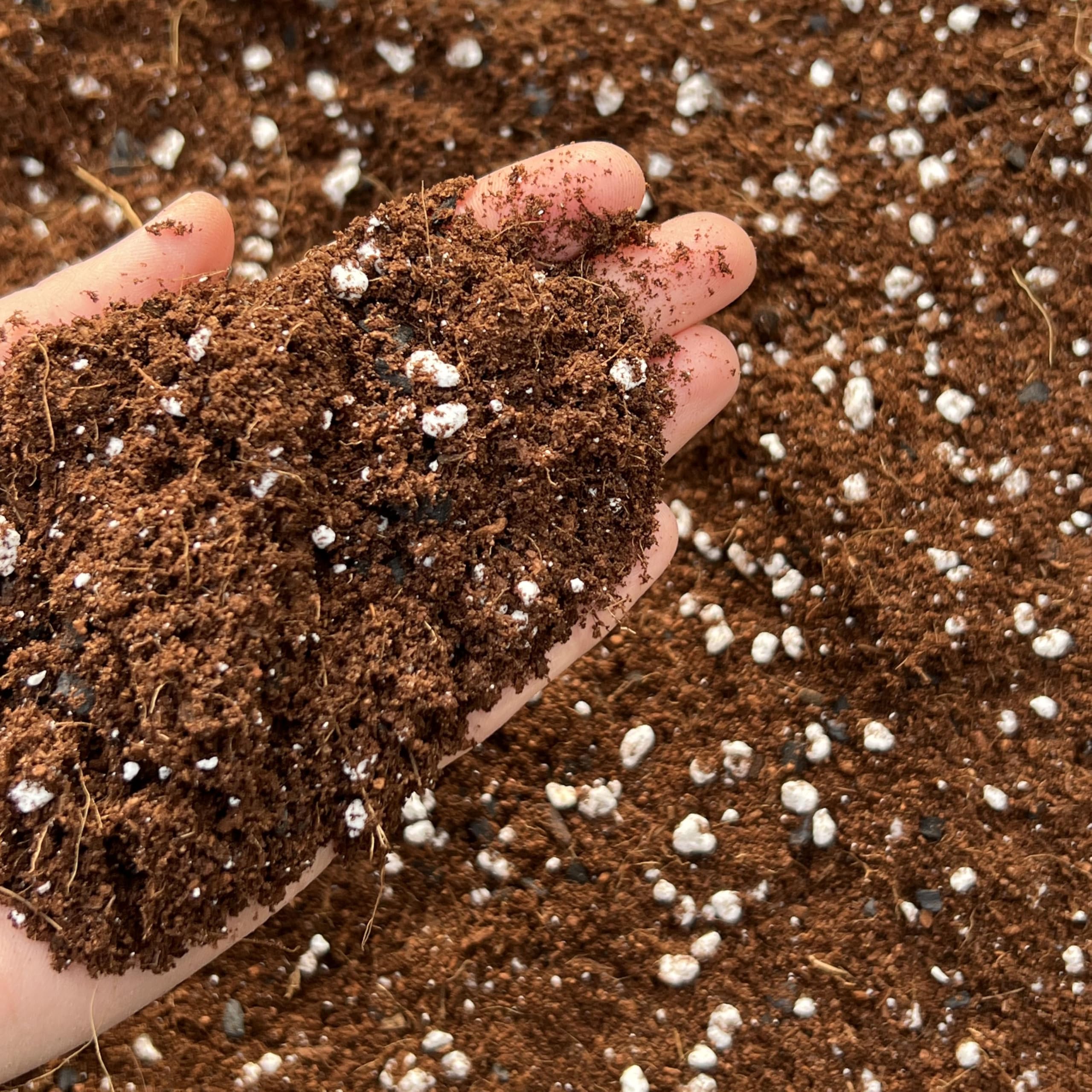 Terrarium Potting Mix with Perlite, Natural, 3L - Image 3