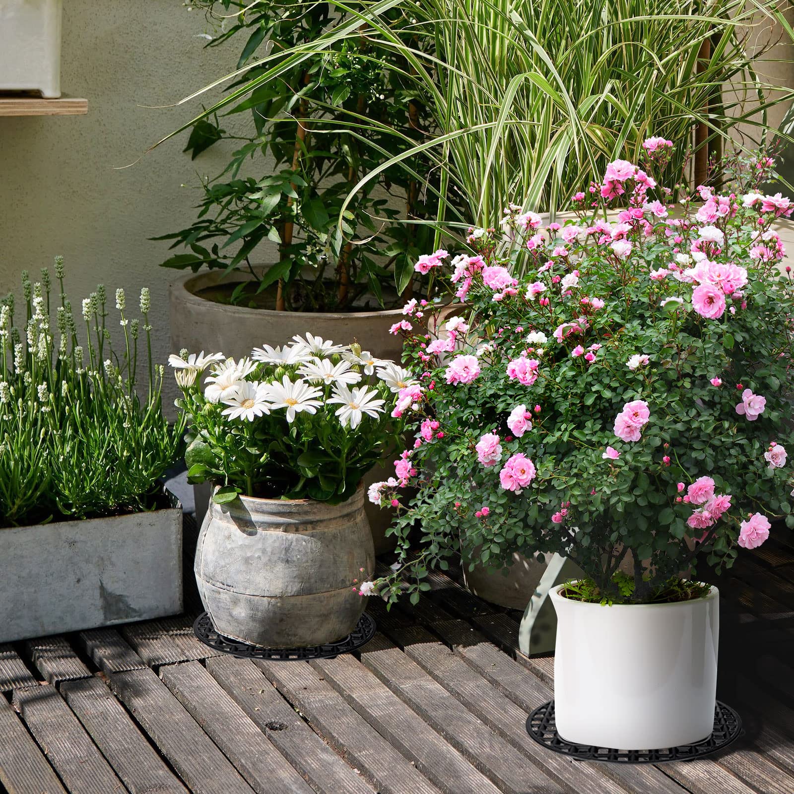 Lot de 24 supports pour plantes de jardin