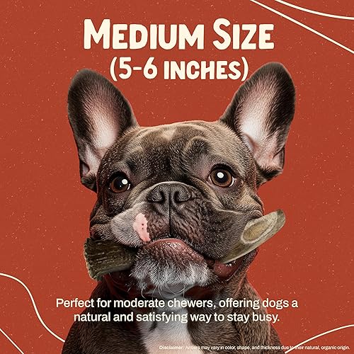 Miniatura 10 de Heartland - Cuernos de ciervo para perros, grado A, cuernos de desprendimiento natural  Huesos de perro para masticadores agresivos y cachorros de