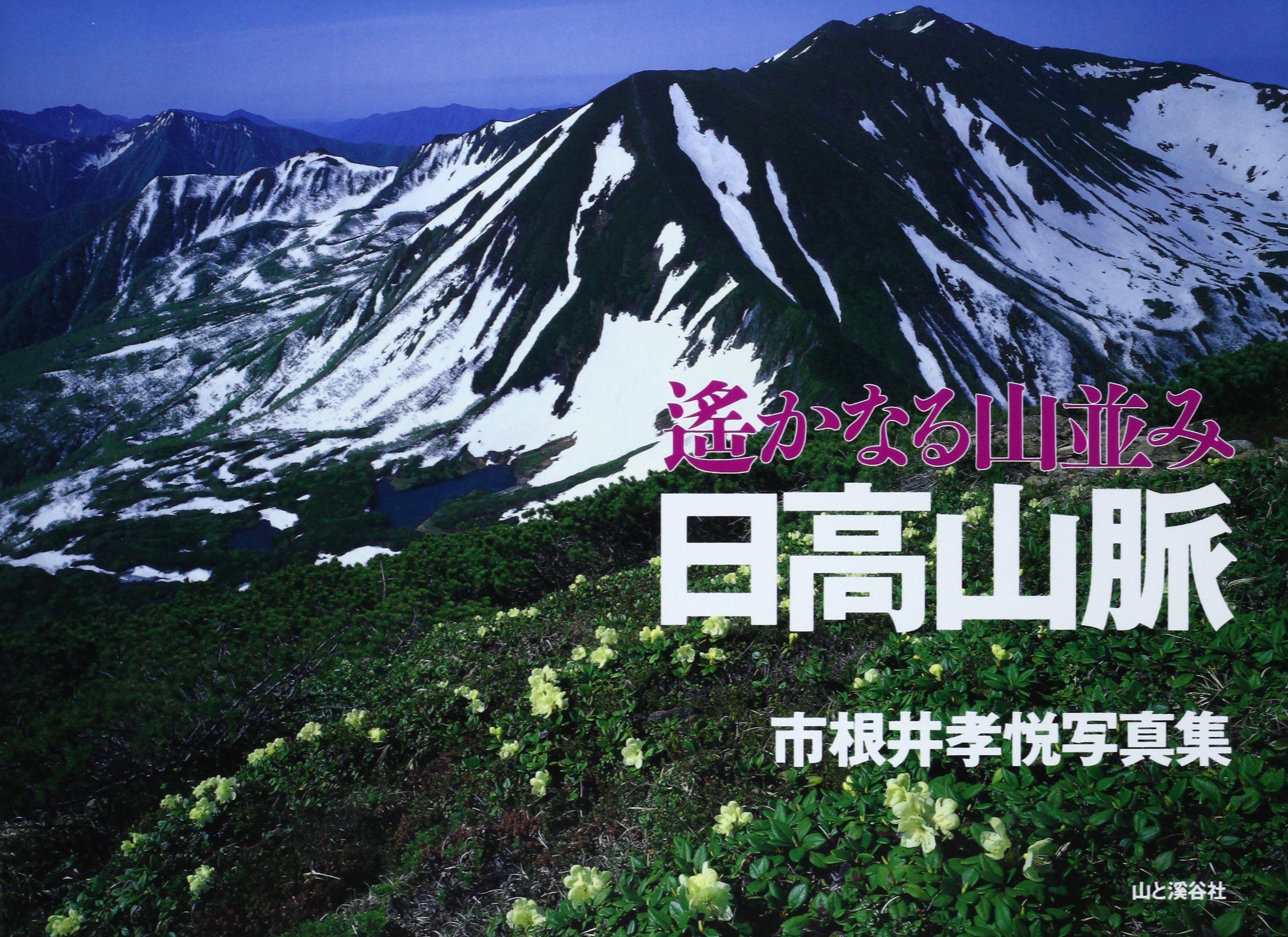 日高山脈 写真集 限定1,000部 日高山脈 遙かなる山並み―市根井孝悦写真集 | 市根井 孝悦 |本 | 通販