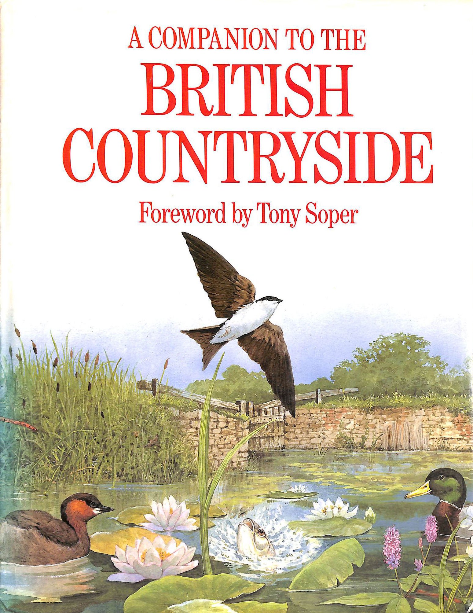 A Companion to the British Countryside