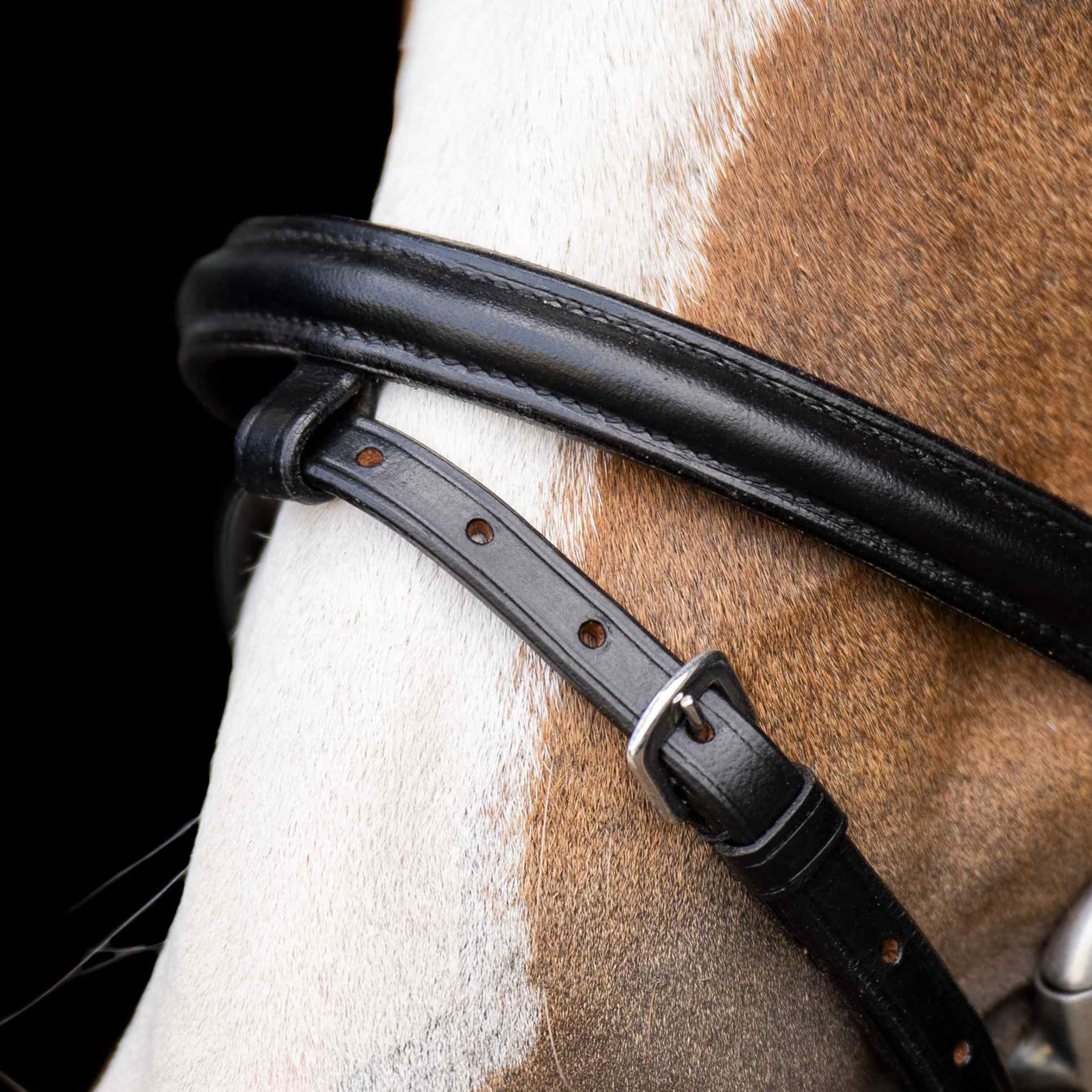 Imperial Riding Shetty-Trense IRH Stormy, Zaumzeug für Mini-Shettys und Shetlandponys mit Strass-Stirnband, Leder, Schwarz-Kristall