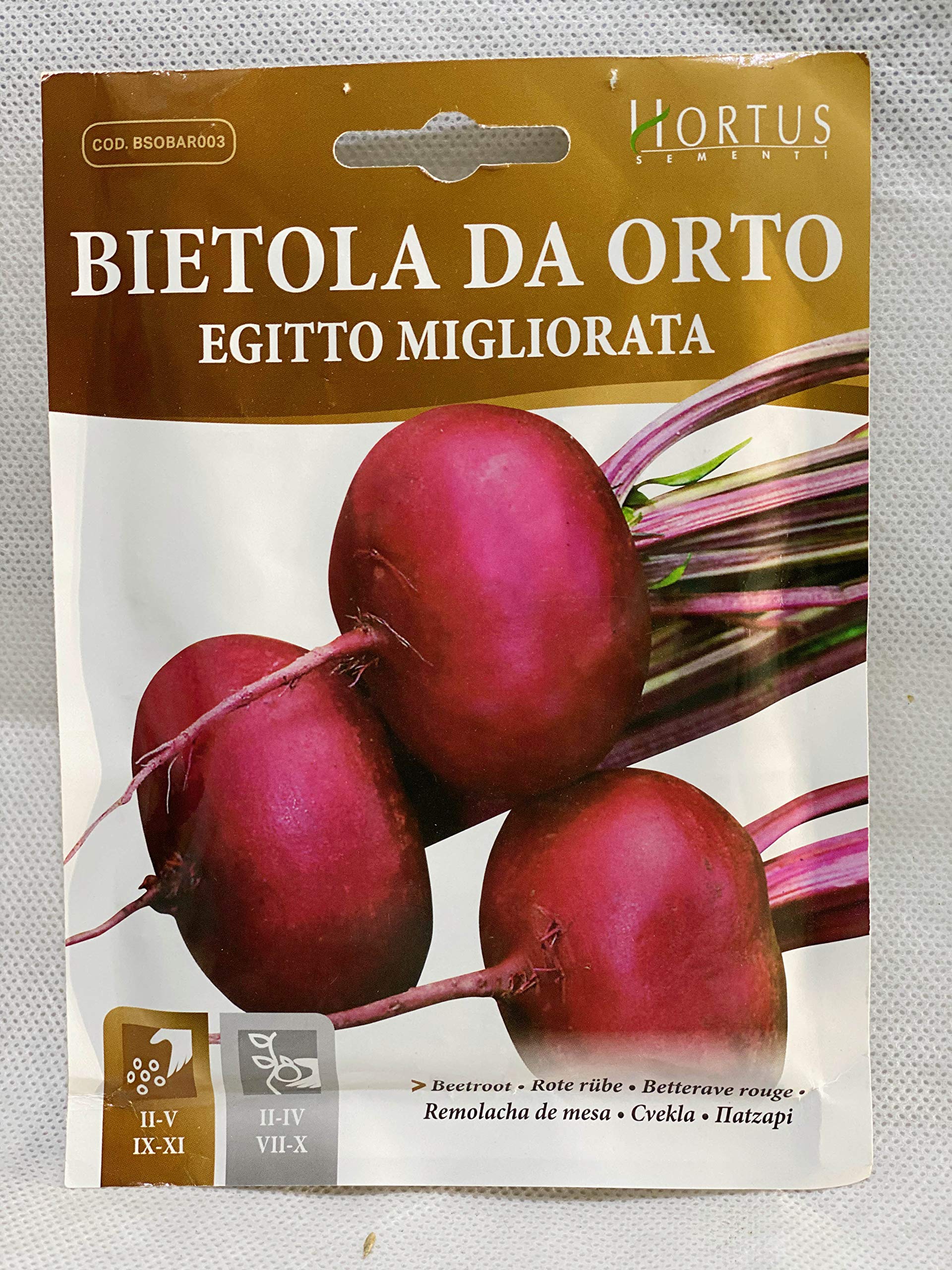 RitajBeetroot Plant Seeds