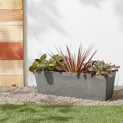 Miniatura 9 de Arcadia Garden Products U65CT 849637003455 Simplicity - Caja con ventana, 25.5 x 9 pulgadas, cemento