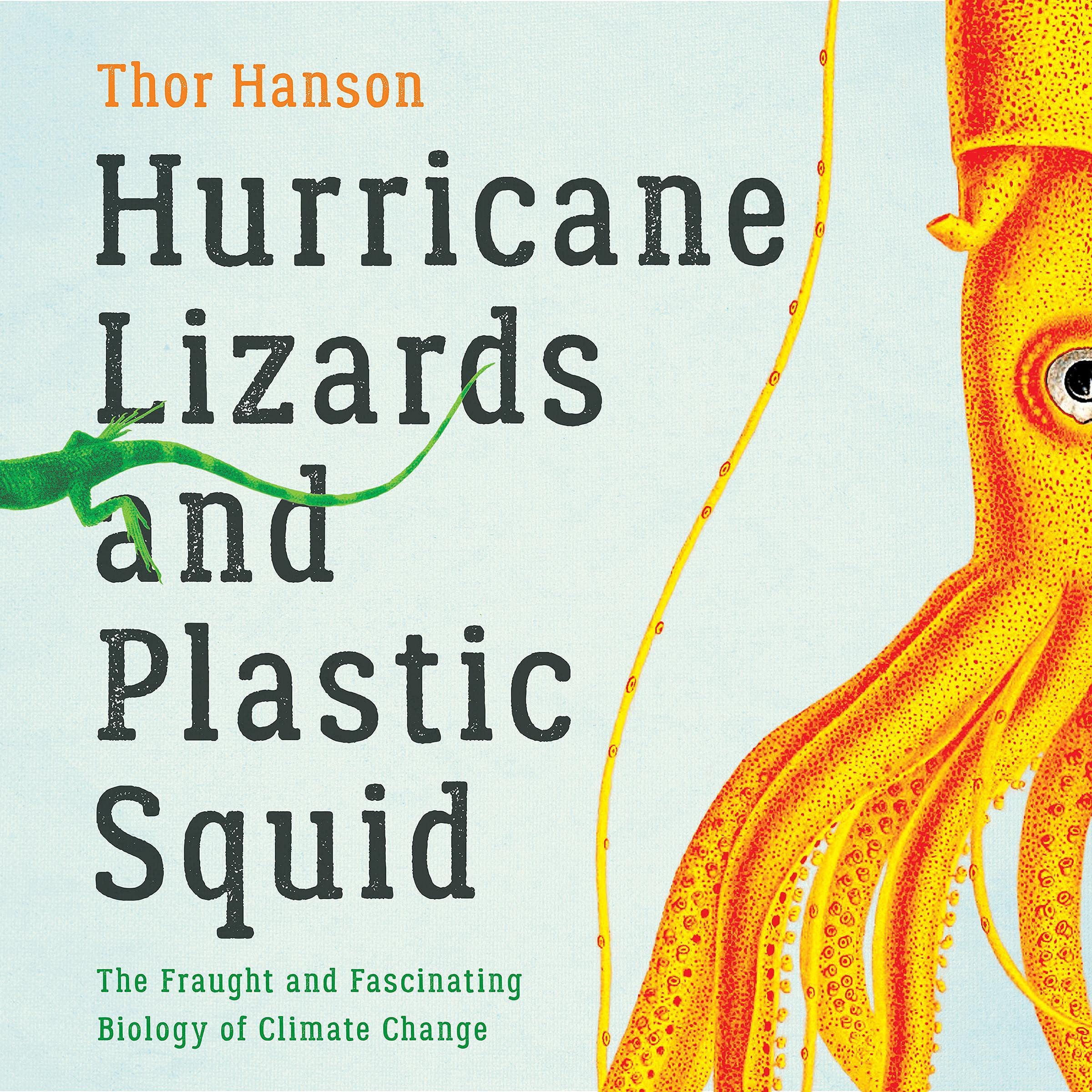 Cover art for Hurricane Lizards and Plastic Squid