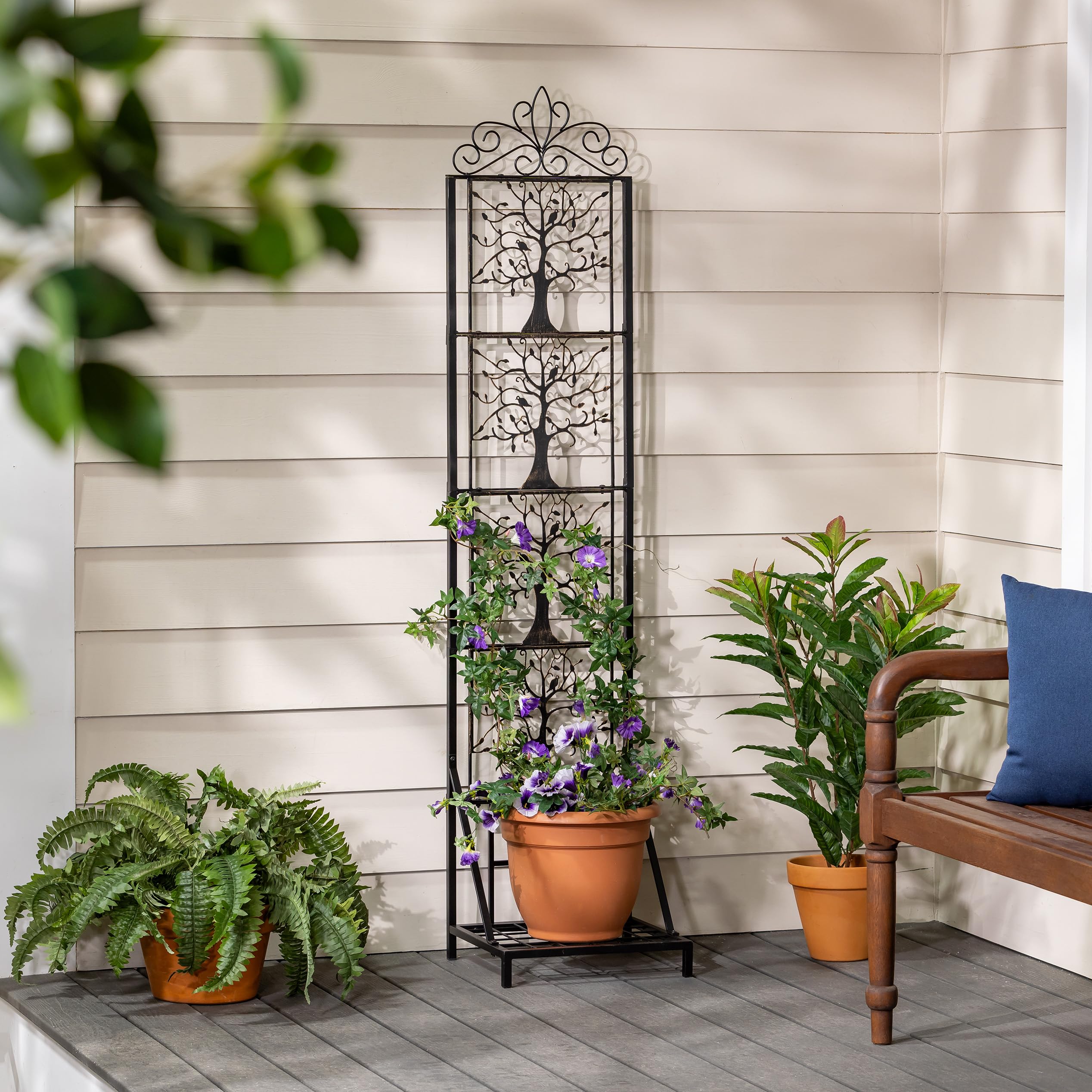 orchids terrarium plants Medium Exotic Orchid Terrarium  Seasons A Floral Design Studio