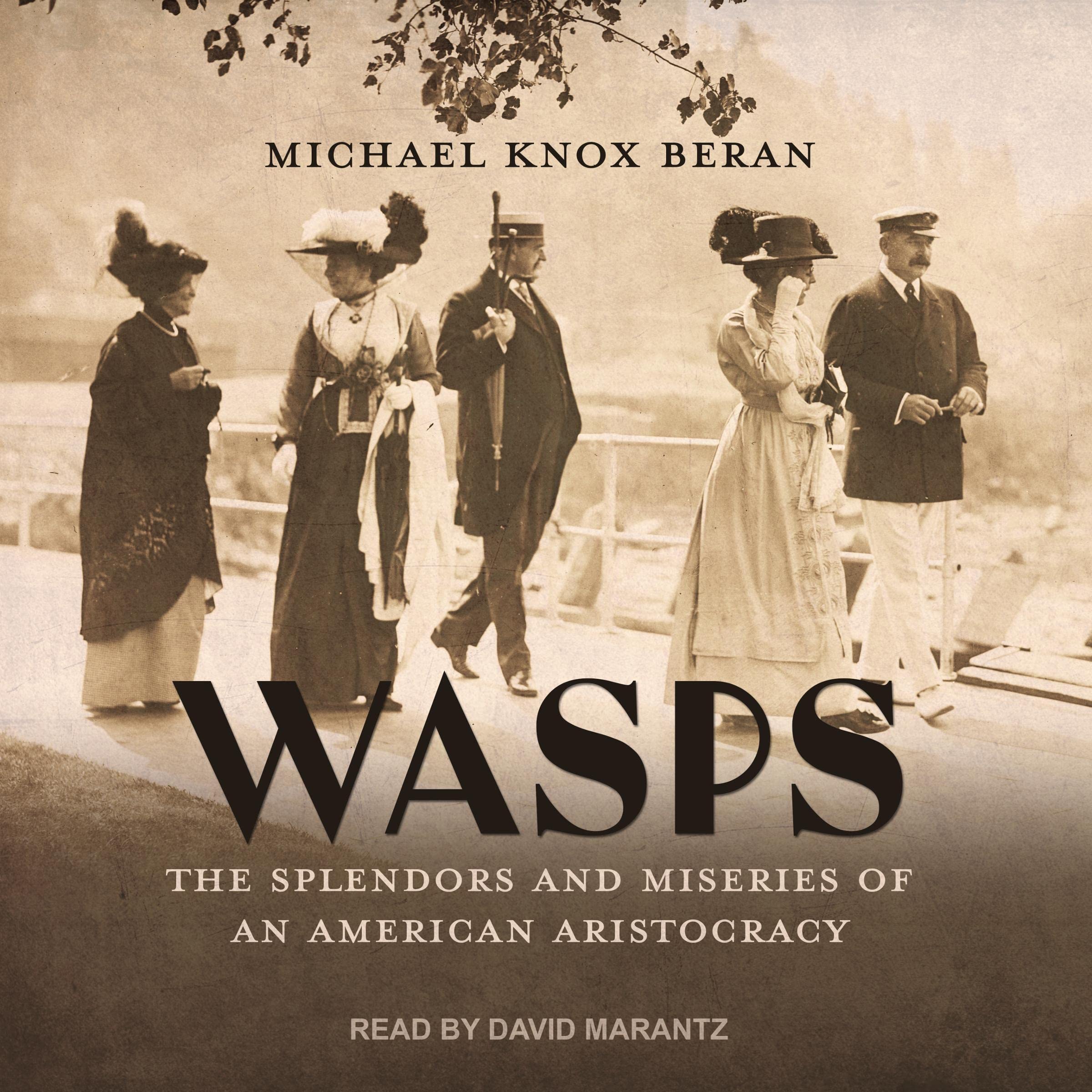 Cover art for WASPs