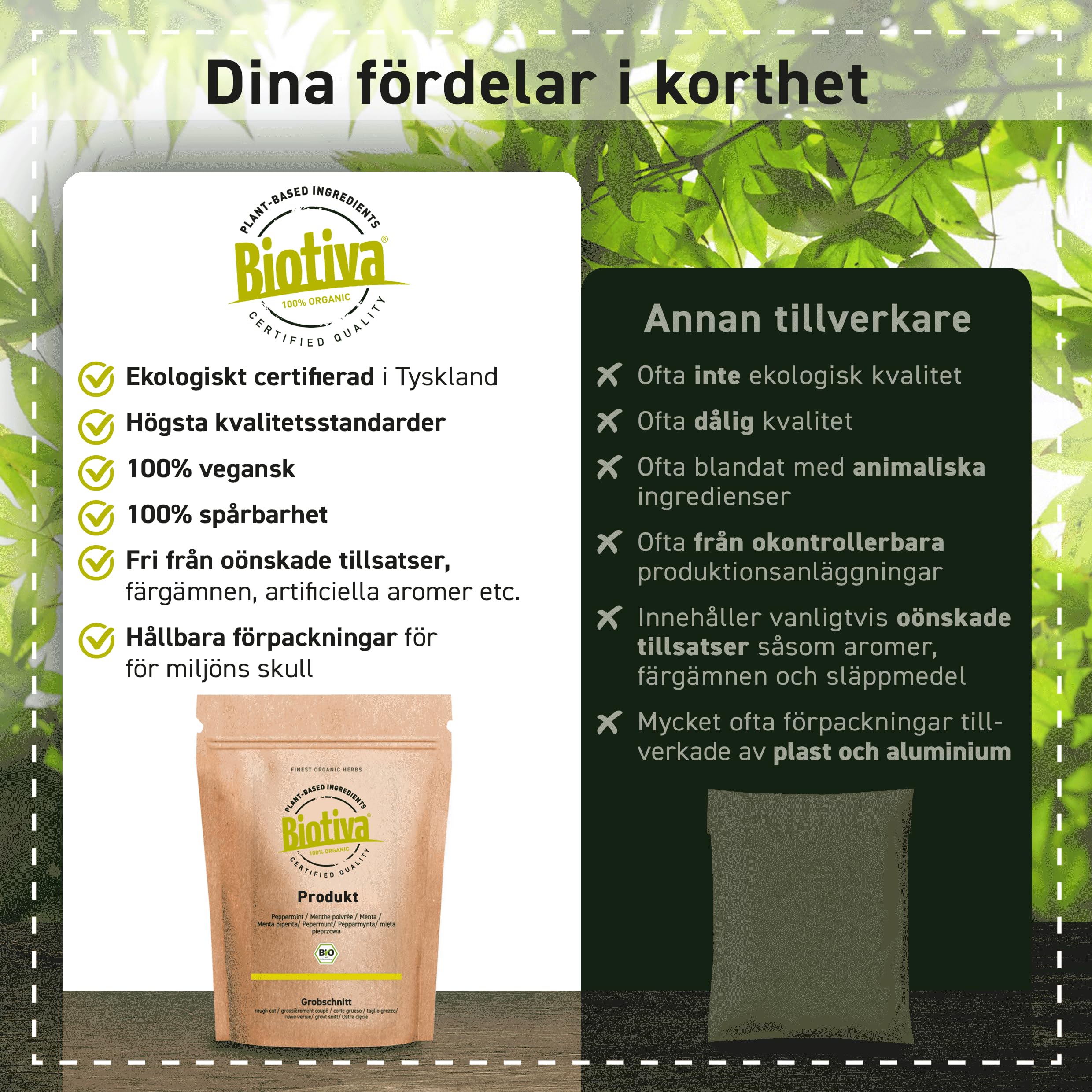 Cacao en polvo orgánico 3kg (3x1kg) - 100% cacao puro en polvo, muy desaceitado (11% grasa) - sin azúcar - sin aditivos - embotellado y controlado en Alemania - Biotiva