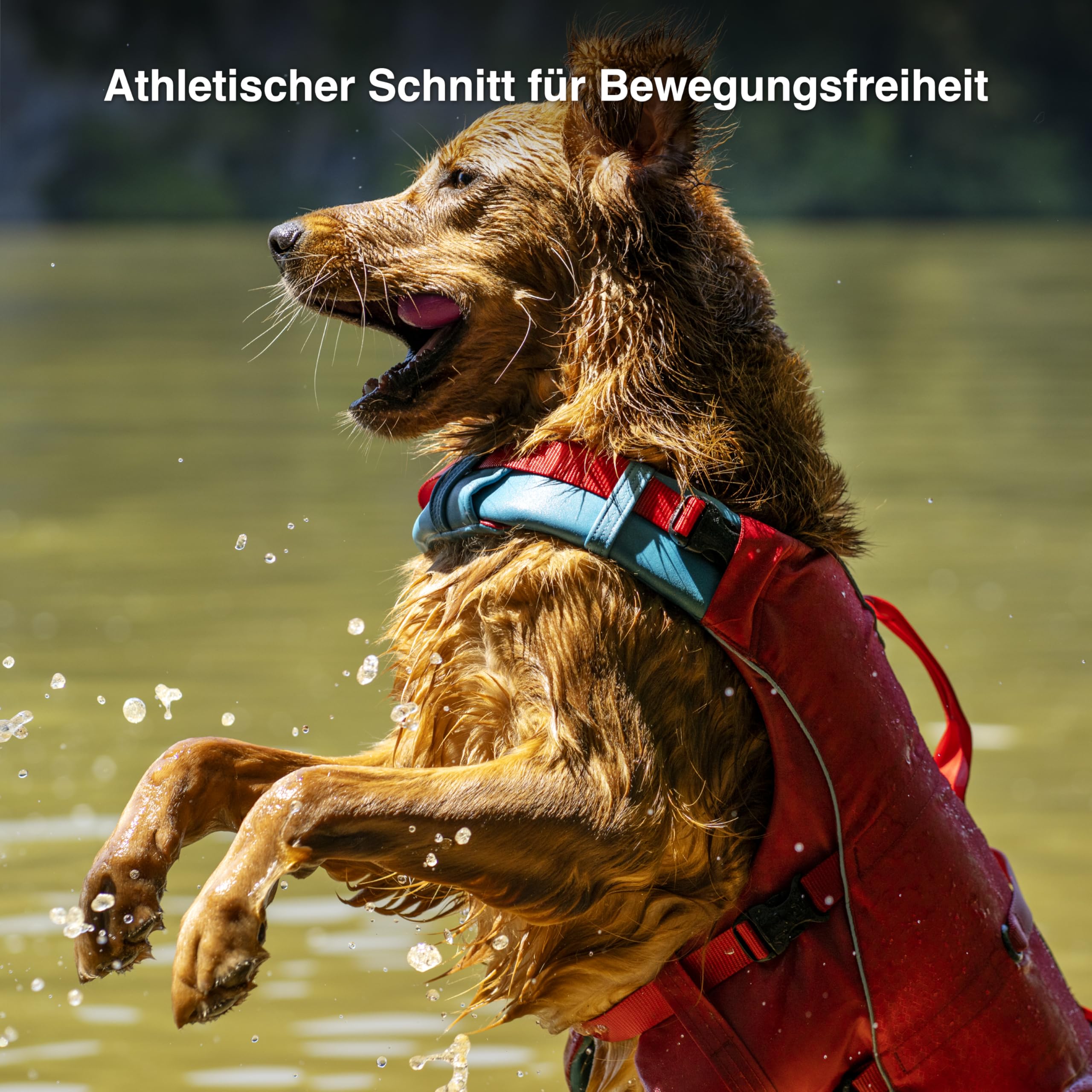Kurgo Surf N Turf Hundeschwimmweste - Auftriebshilfe für Hunde - Neopren gefütterte Hundeweste - Reflektierendes Ripstop Material - Sicherer Sitz - Alte Verpackung - Rot/Blau - M