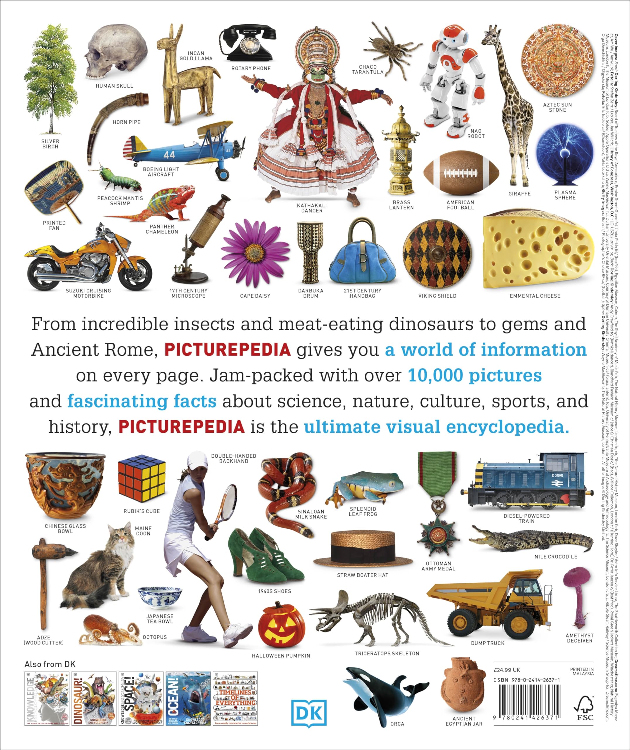 Picturepedia: an encyclopedia on every page