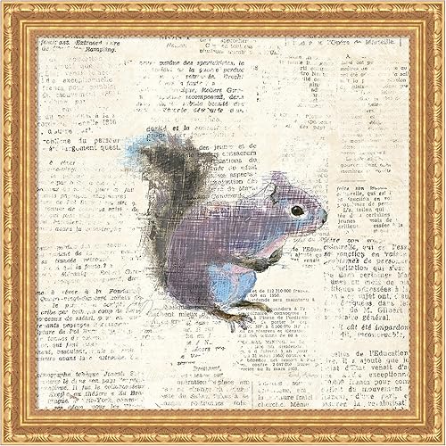 Amanti Art Framed Wall Art Print 28x28 Into the Woods V no Border (Squirrel) by Emily Adams, Animals Wall Art, Vintage Decor, Medium Poster Painting