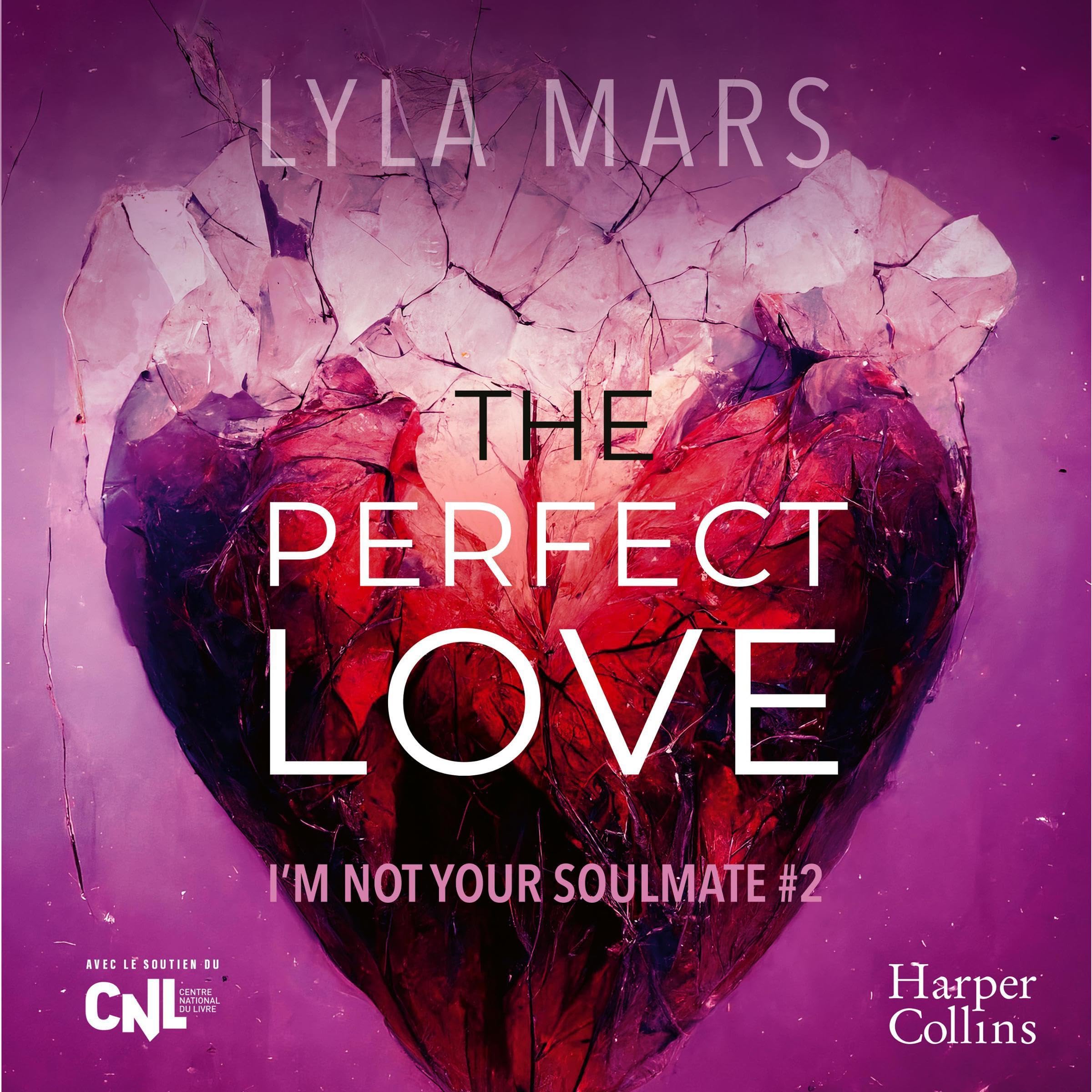 The Perfect Love (French edition)