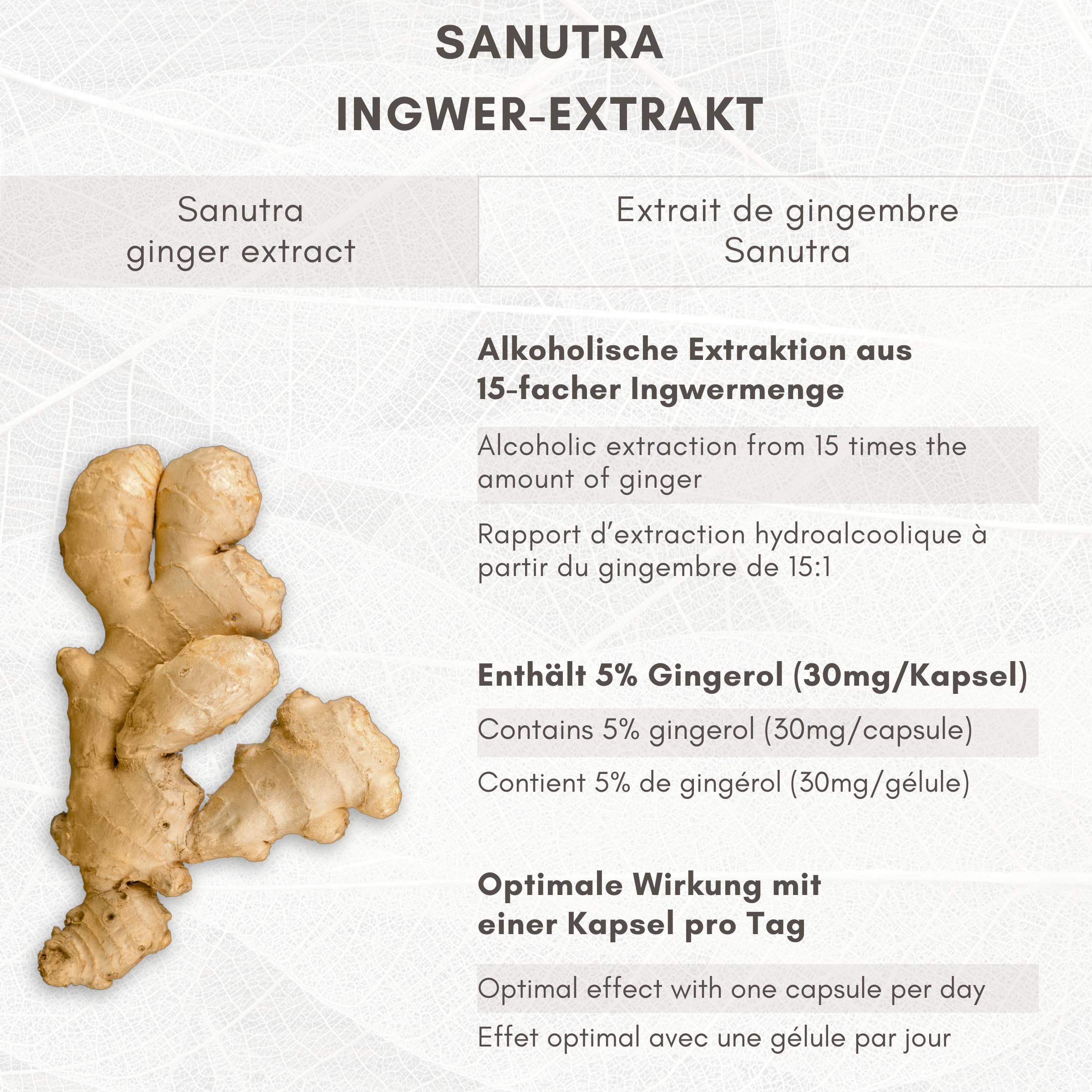 SANUTRA® Gélules de Gingembre – hautement dosées 15:1 extrait de gingembre avec 5% de gingérols, véganes, sans additifs, contrôlées résidus, fabrication allemande, 180 x 600 mg