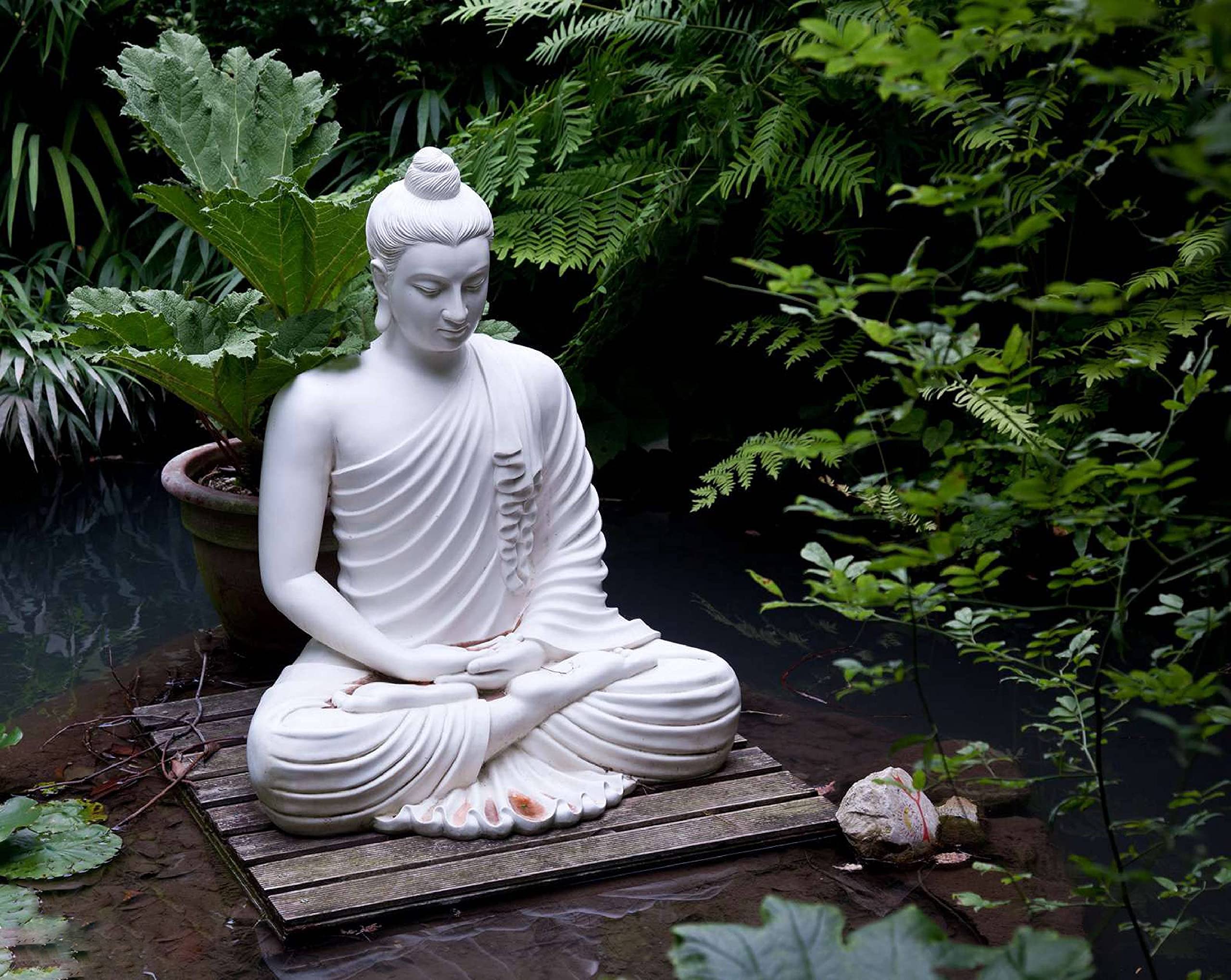 Lord Buddha 3d Wallpapers