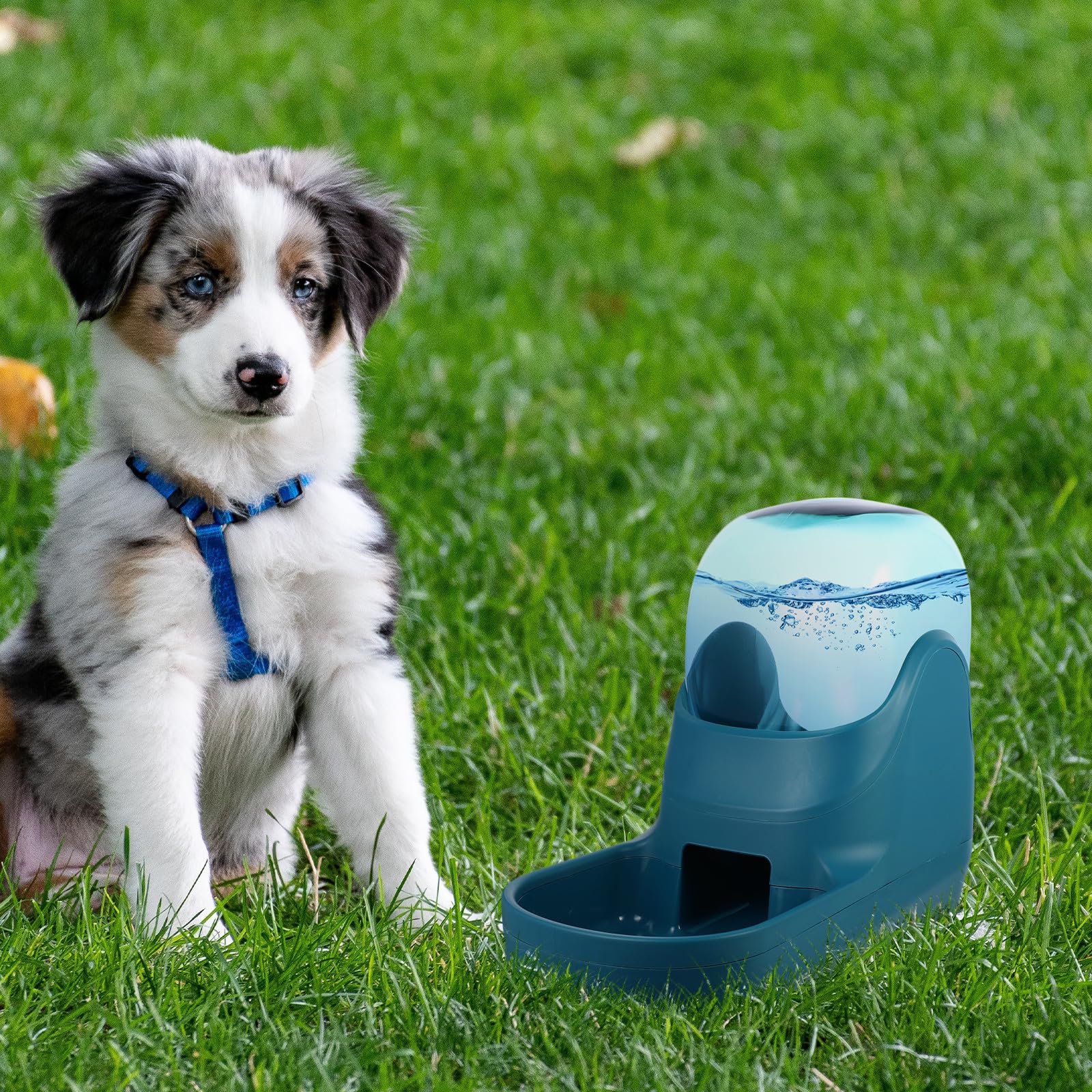 Bebedero Automático para Mascotas Flujo por 3.8l
