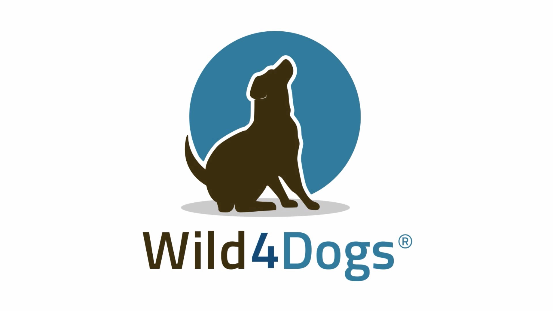 Wild 4 Dogs Premium Oatmeal & Aloe Shampoo for Dogs and Puppies - for a Fresh and Clean Dog - Natural Ingredients, No… - Image 7