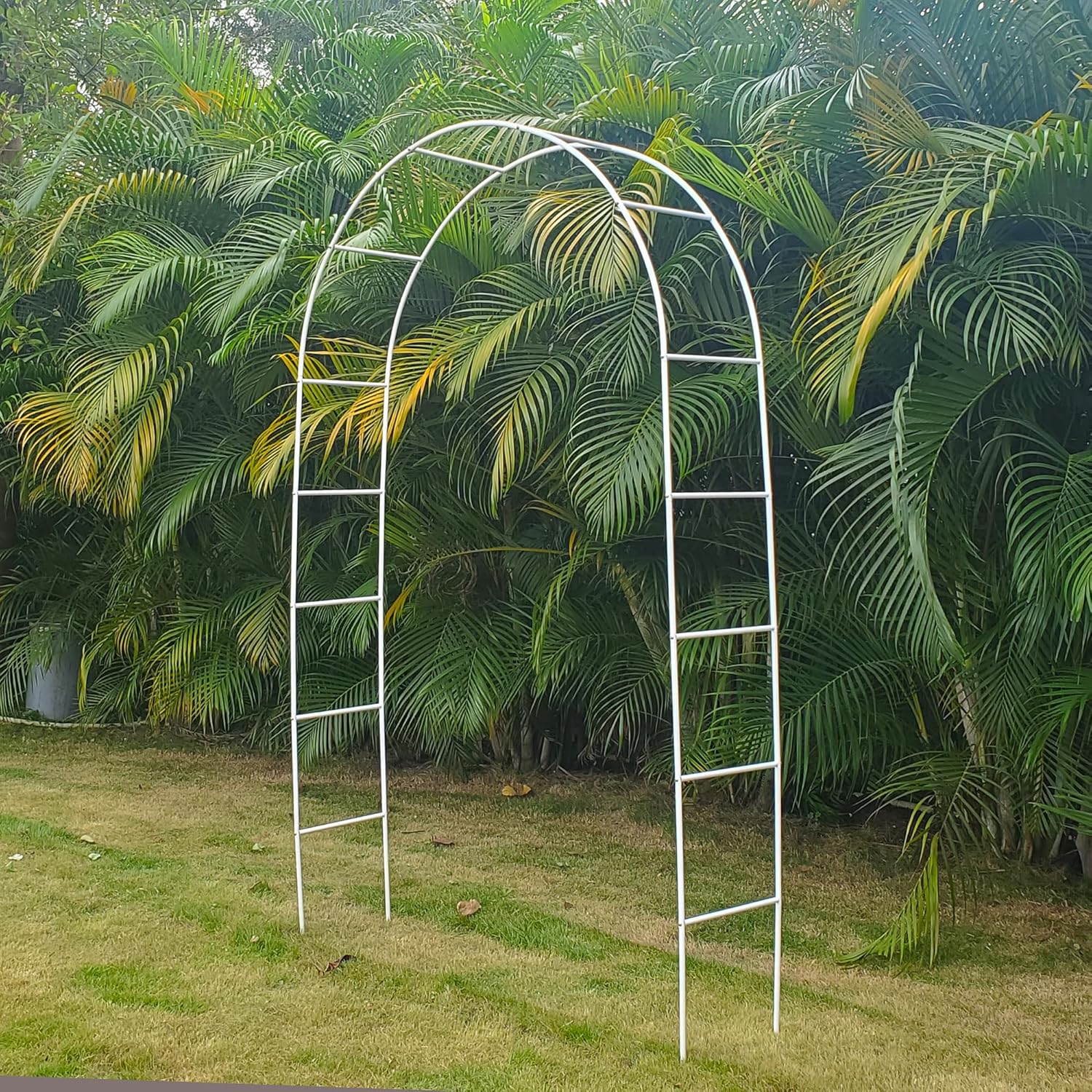 White Iron Pergola Arbor Practical, 7.9 Feet High x 4.6 Feet Wide, Assemble Easily for Various Climbing Plant Wedding Garden Arch Bridal Party Decoration Wide Arbor
