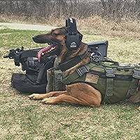 Vista 78 de Walker's Razor Slim Ultra Bajo Perfil Diseño Compacto Rango Ajustable Disparo Caza Protección Auditiva Orejeras Electrónicas