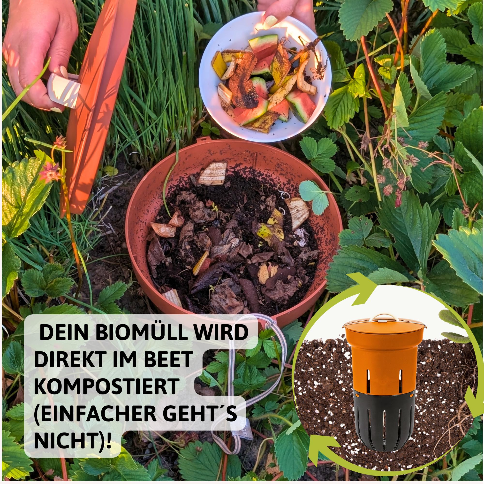 Beetkomposter Wurmvase XL - Wurm Komposter Garten zum Eingraben inkl. Wurmkiste Anleitung