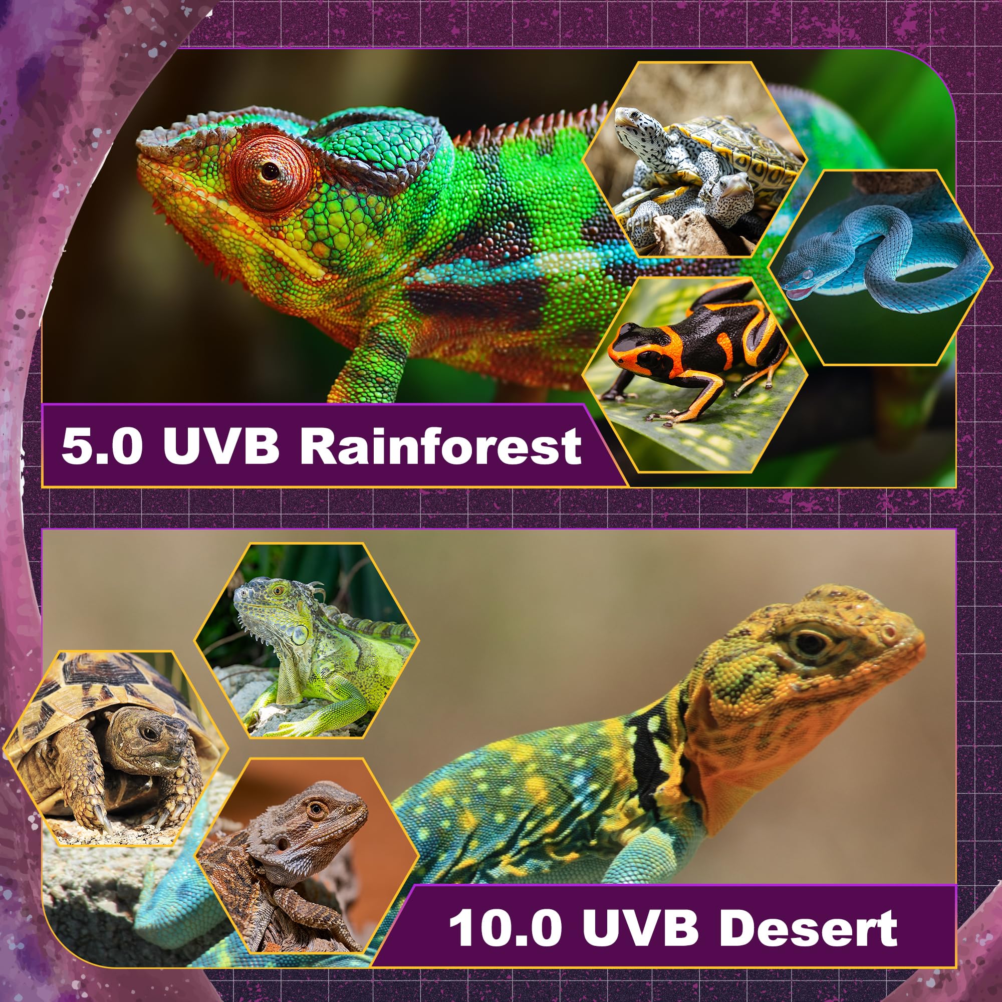 T5 HO UVB Lighting Combo Kit, 8W Reptile Light Fixture with Fluorescent Light Bulbs, Tropical 5.0 UVB Light for Reptiles and Amphibians, Basking Light for Bearded Dragon, High Output Natural Light - image 3