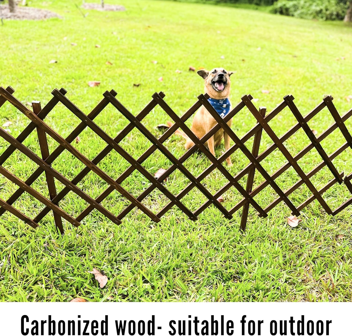 ShopLaLa Garden Fence - 2 Pack, Total 12ft (L) Wooden Lattice Flower Edging for Yard Lawn Landscape Patio Outdoor Decor, Expandable Plant Trellis Decorative Fences and Gates, Animal Barrier for Dogs