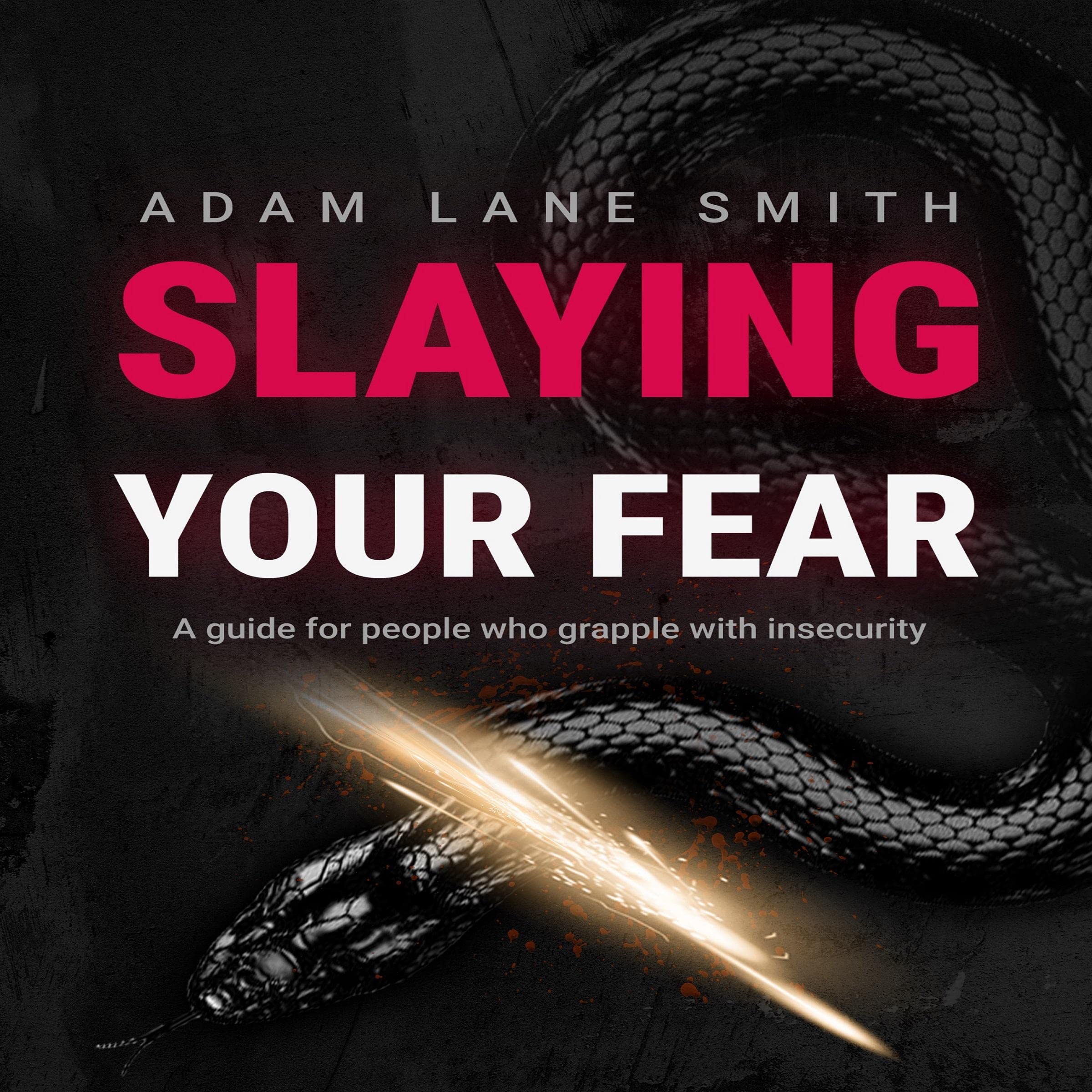 Cover art for Slaying Your Fear: A Guide for People Who Grapple with Insecurity