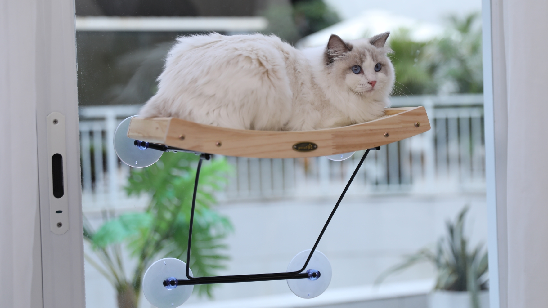 2-in-1 Katzen Hängematte & Bett - Fensterplatz Ohne Bohren