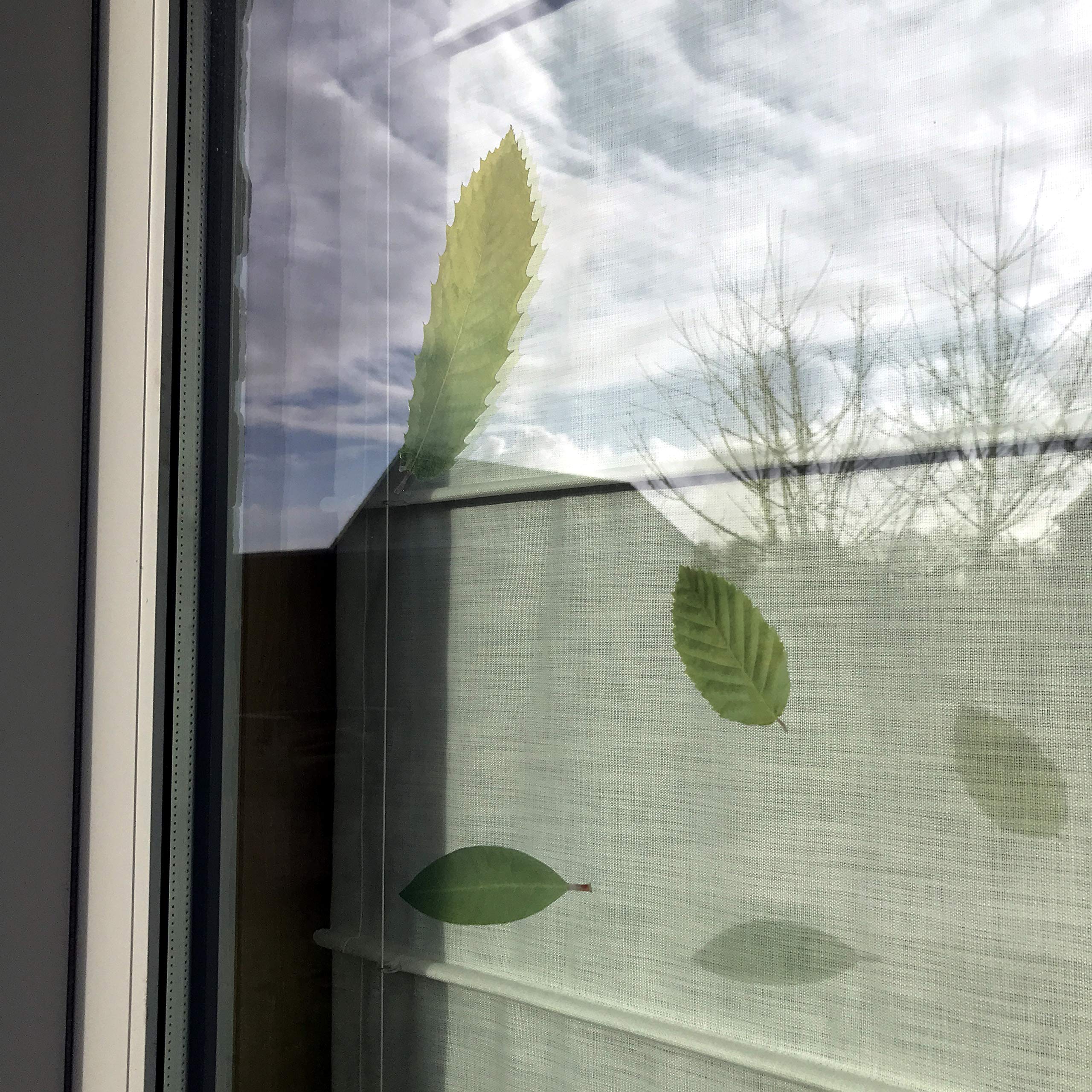 Set di 18 Adesivi a Forma di Foglie di Albero per Ogni Superficie, Decorati su pareti, prevenendo Colpi di Bambini e Uccelli sulla Finestra - Traslucidi - 3X