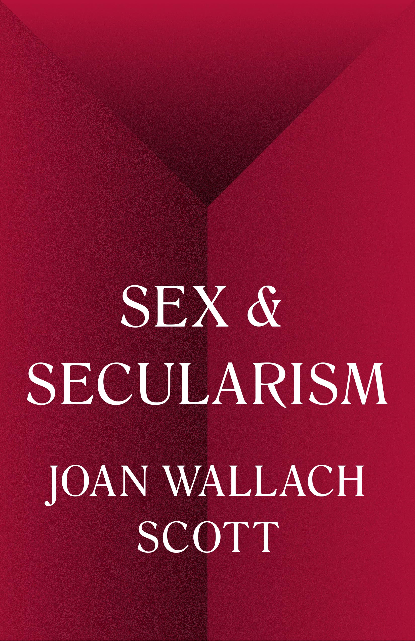 Sex and Secularism (The Public Square) 9780691160641