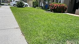 Review Image by Sage Petal