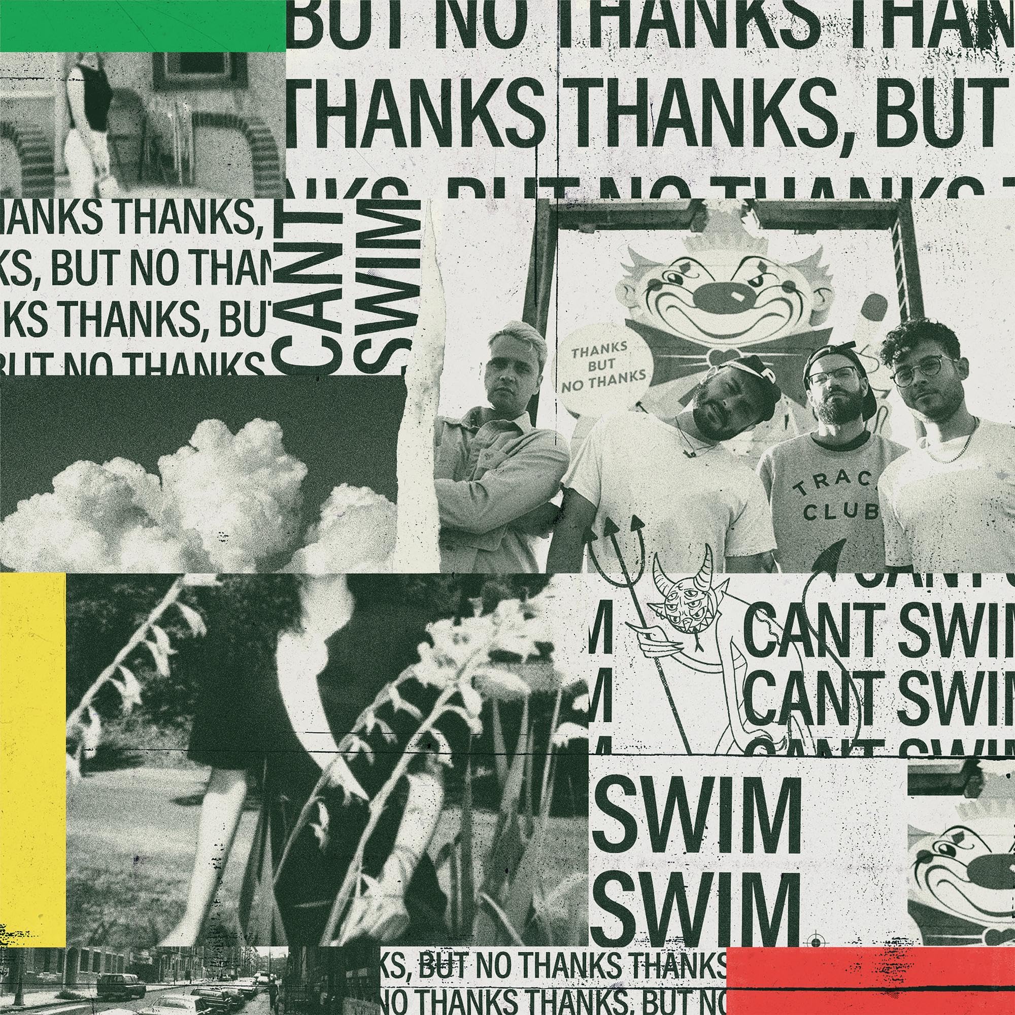 Thanks But No Thanks [VINYL]