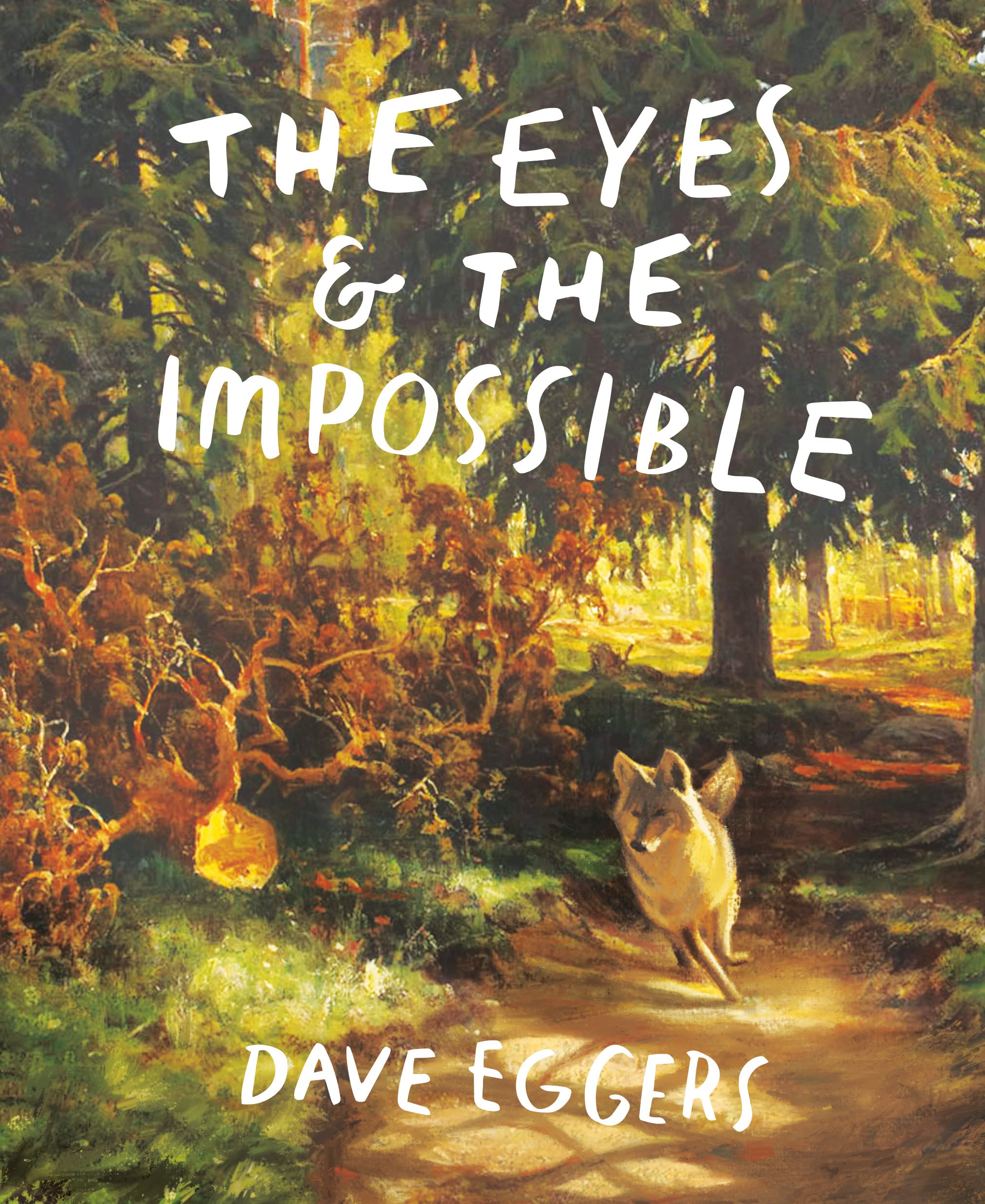 Amazon.co.jp: Dave Eggers: 本、バイオグラフィー、最新アップデート