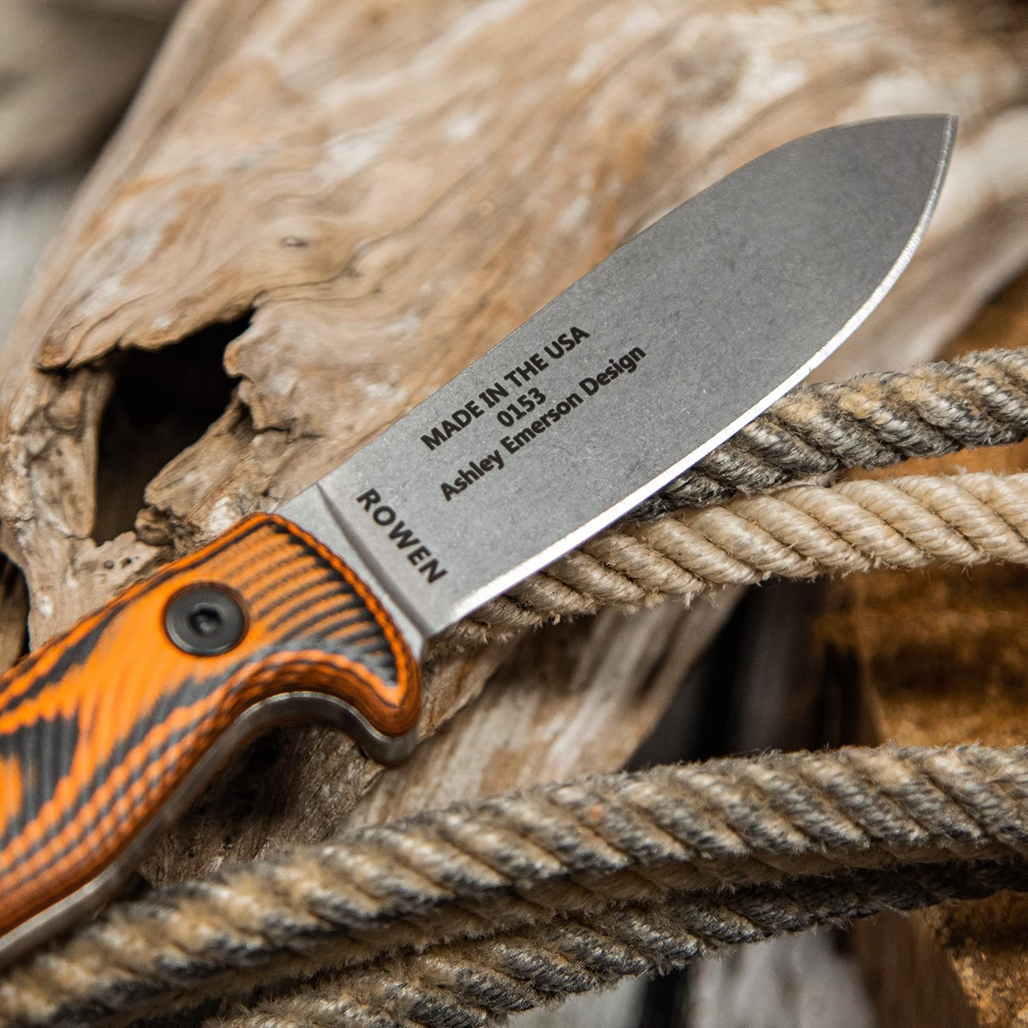 ESEE Knives Ashley Game Hunting Skinning Knife w/Sheath, Made in USA (Orange/Black/S35V/Kydex Sheath)