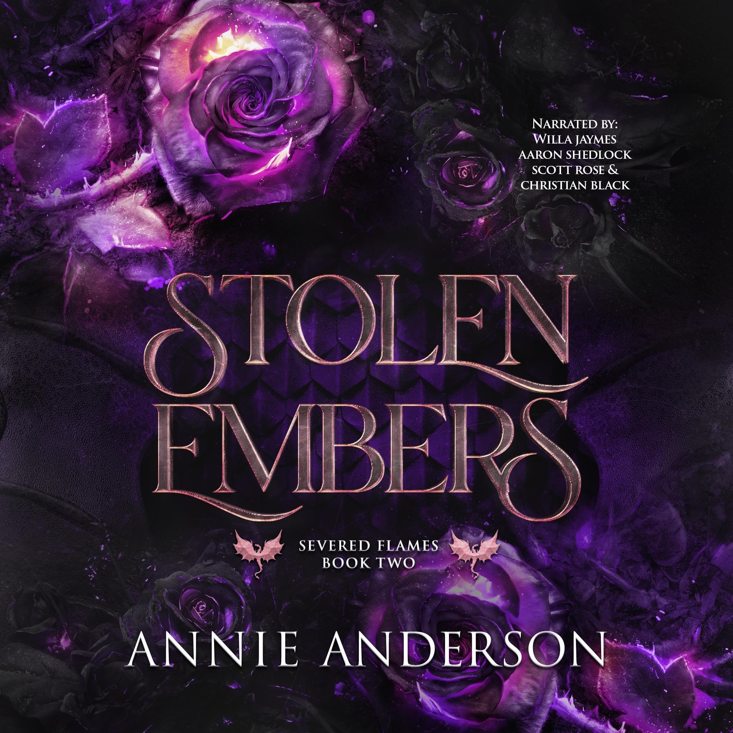 Cover art for Stolen Embers
