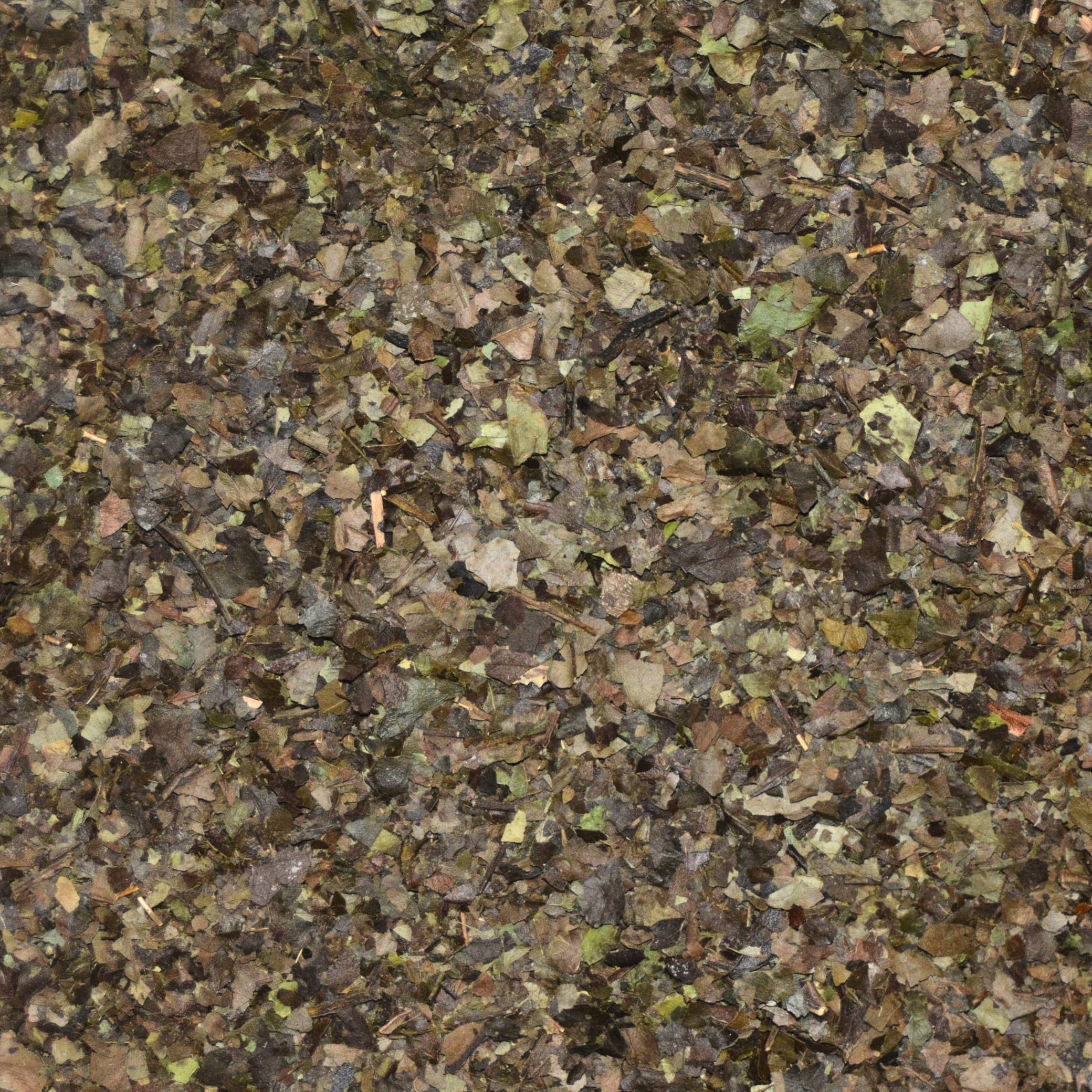 Guayusa Tea | Organic | True Leaf Tea | 4 oz