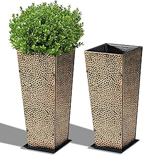BAYN 2-Pack 24