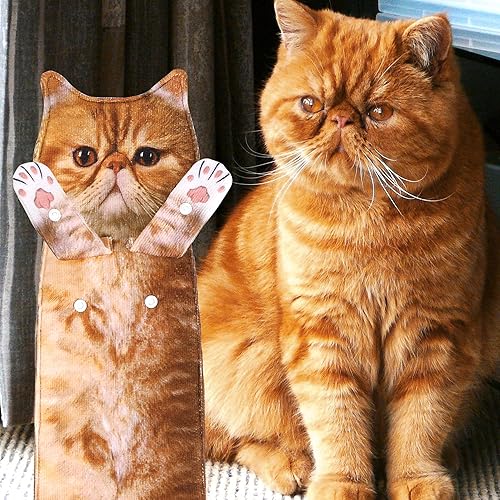 Vista 3 de Divertidas toallas de mano para el baño y la cocina, bonitas toallas decorativas decorativas para colgar en la cara, súper absorbentes, suaves