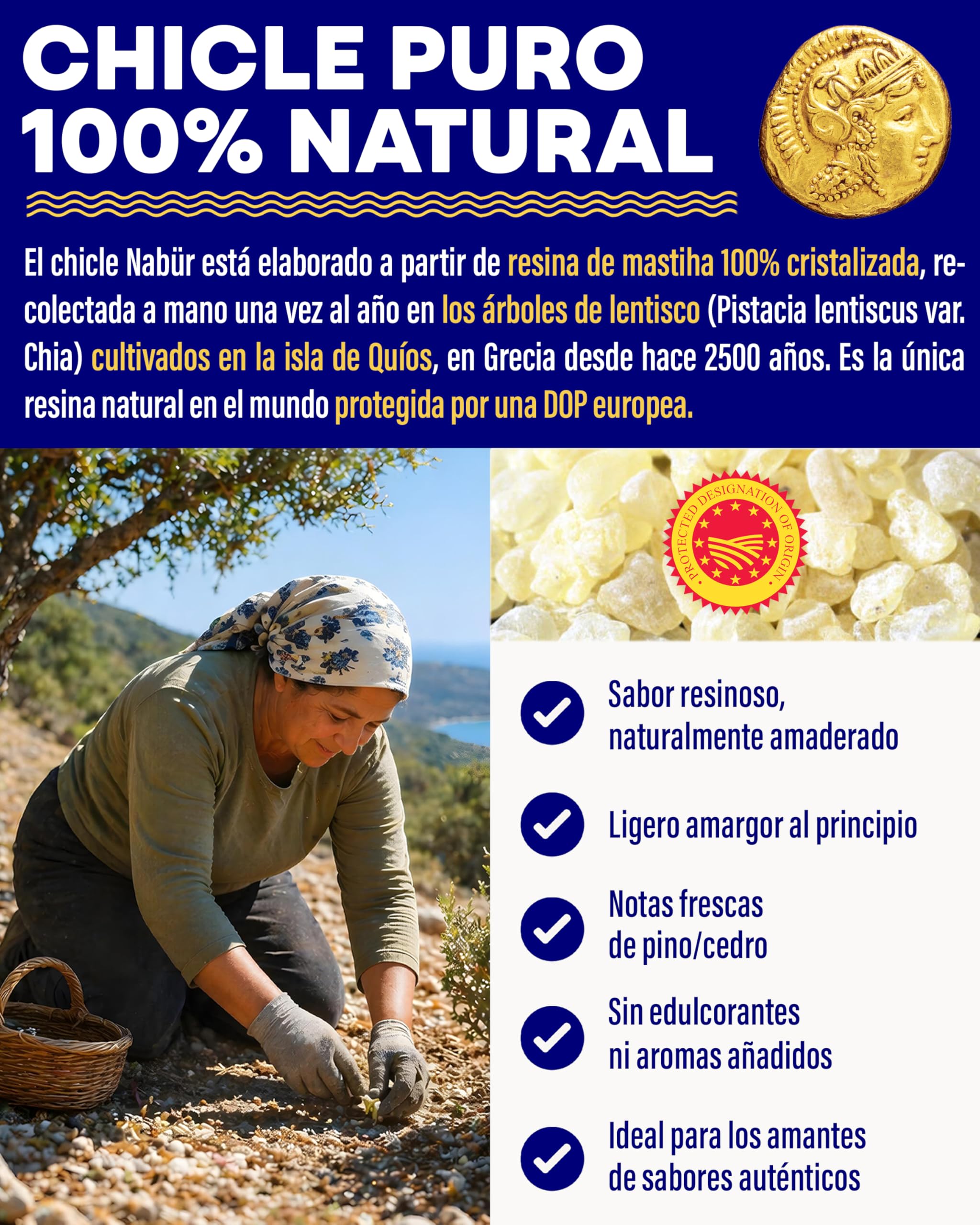 Nabür - 25gr Masilla de Chios DOP, Mastic de Quíos 100% Natural (Medium Grade), Resina Pura de Grecia | Chicle Natural Sin Azúcar