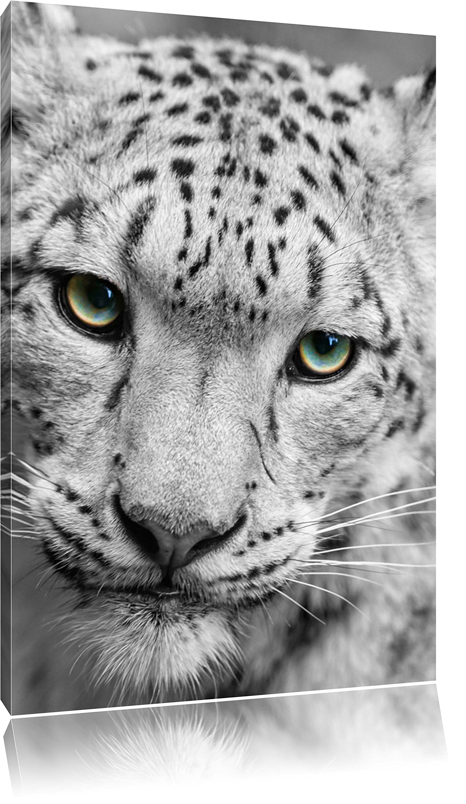 PixxprintColourful Canvas Wall Art